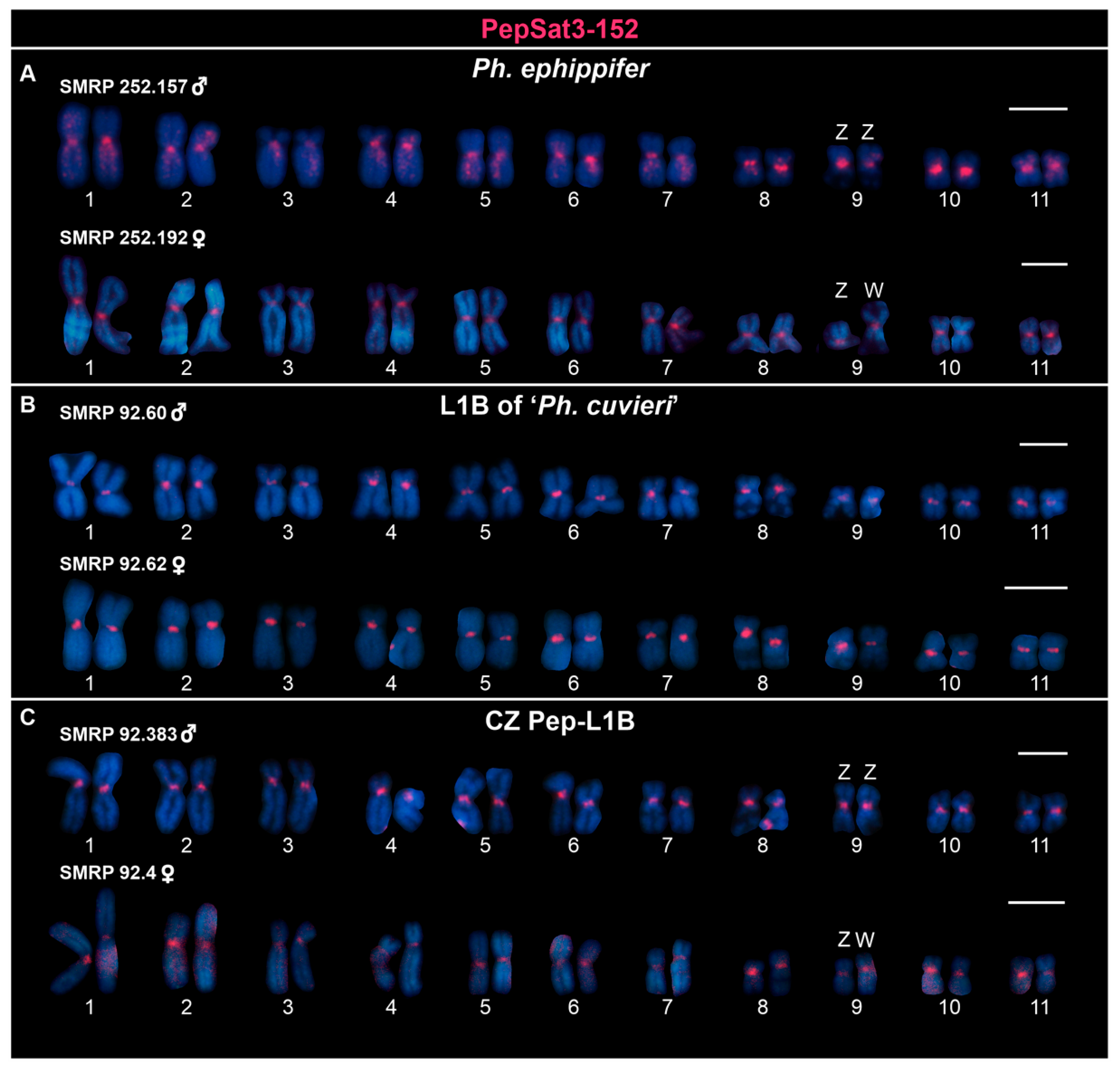 Biomolecules 15 00876 g001 Biomolecules 15 00876 g001
