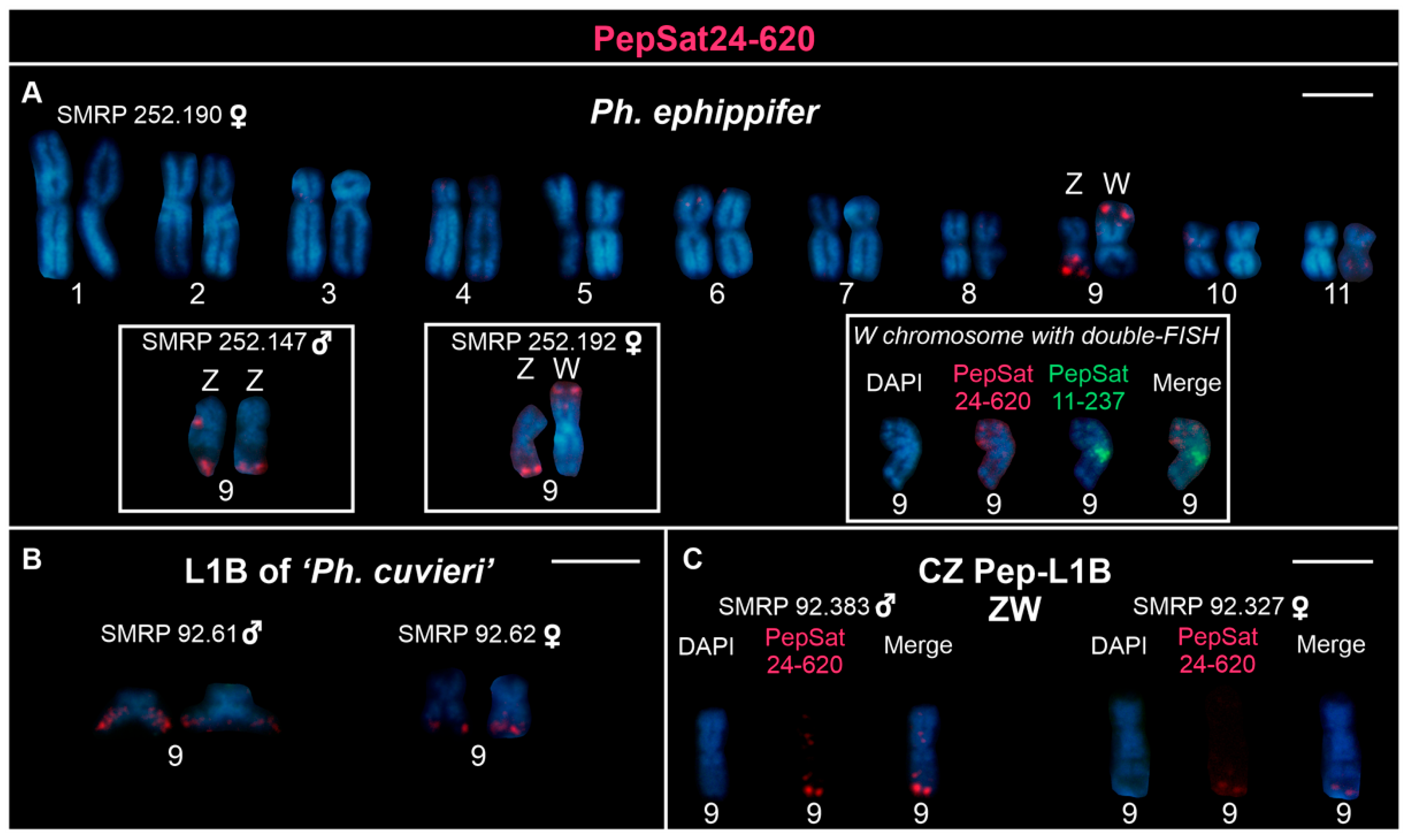 Biomolecules 15 00876 g003 Biomolecules 15 00876 g003