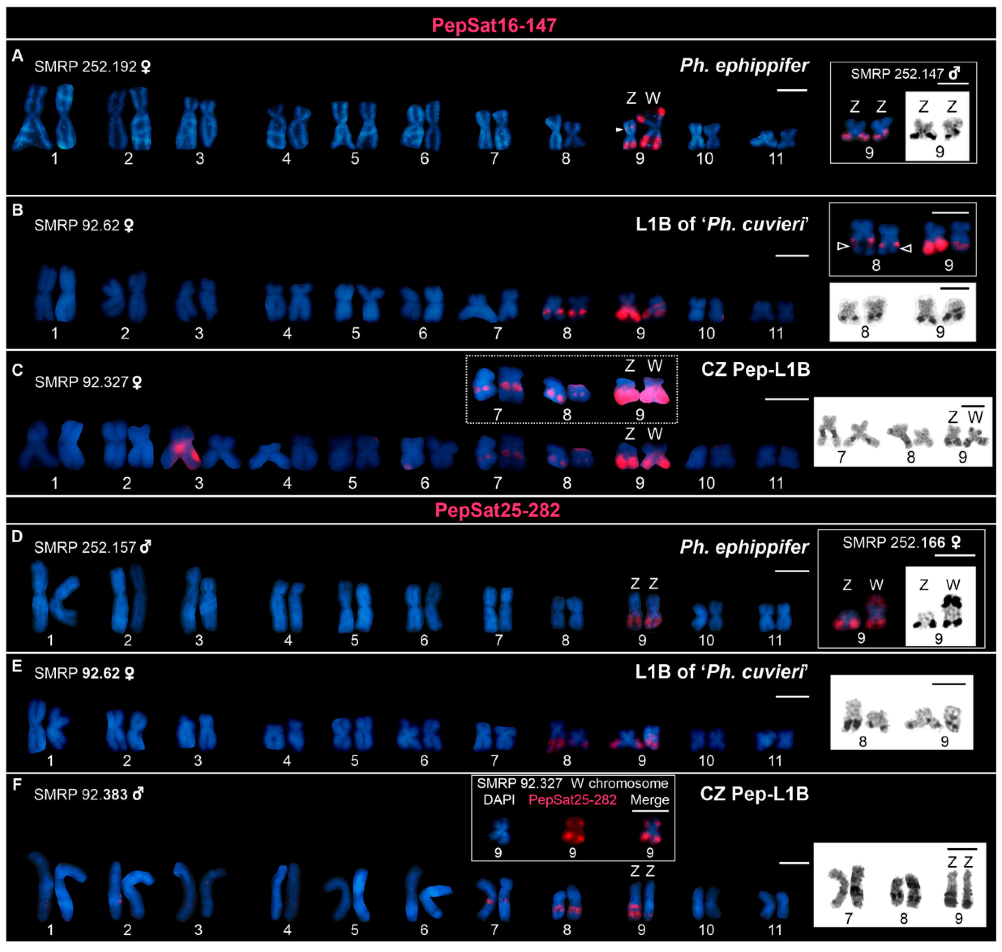 Biomolecules 15 00876 g004 Biomolecules 15 00876 g004