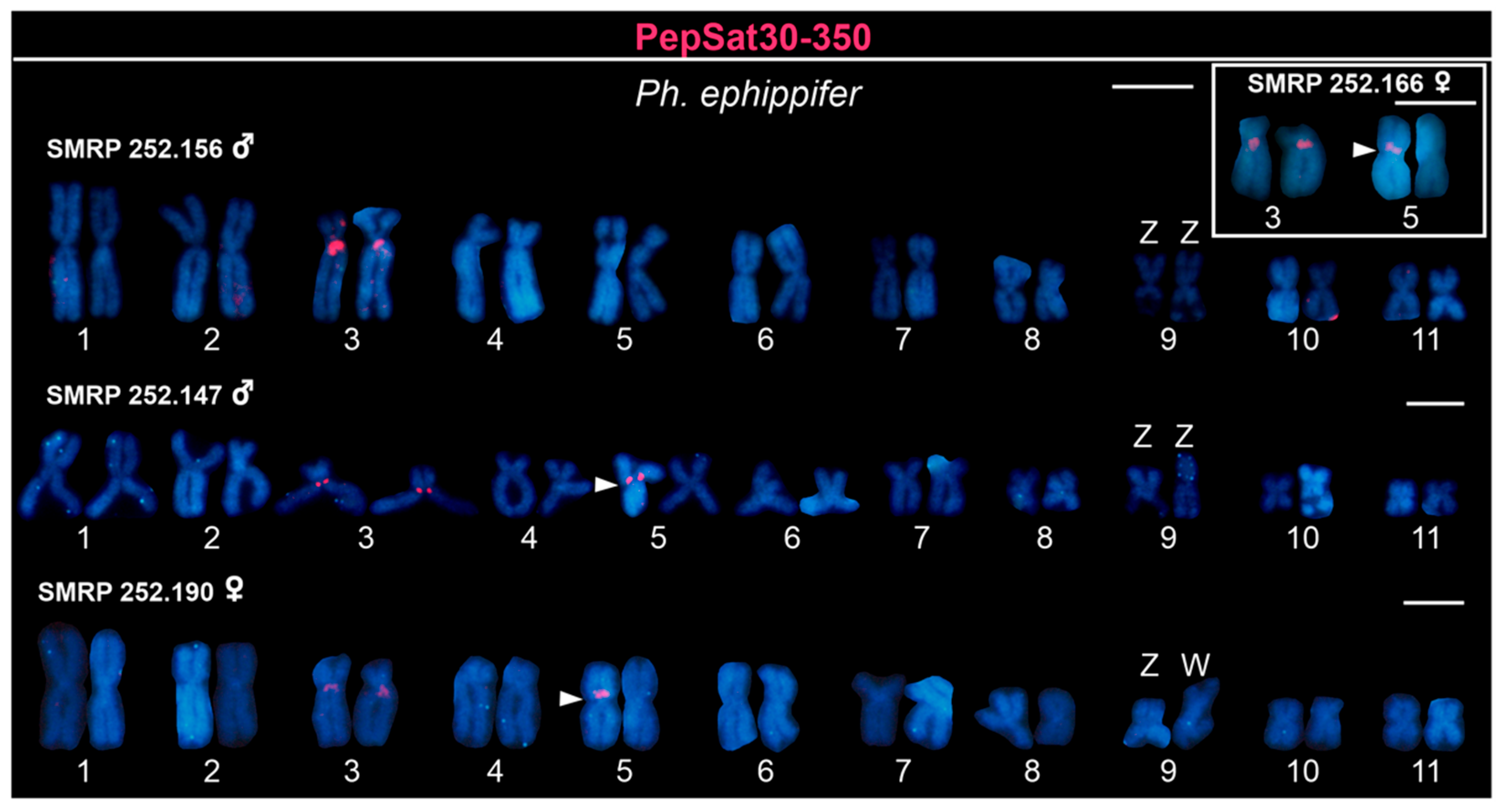 Biomolecules 15 00876 g005 Biomolecules 15 00876 g005