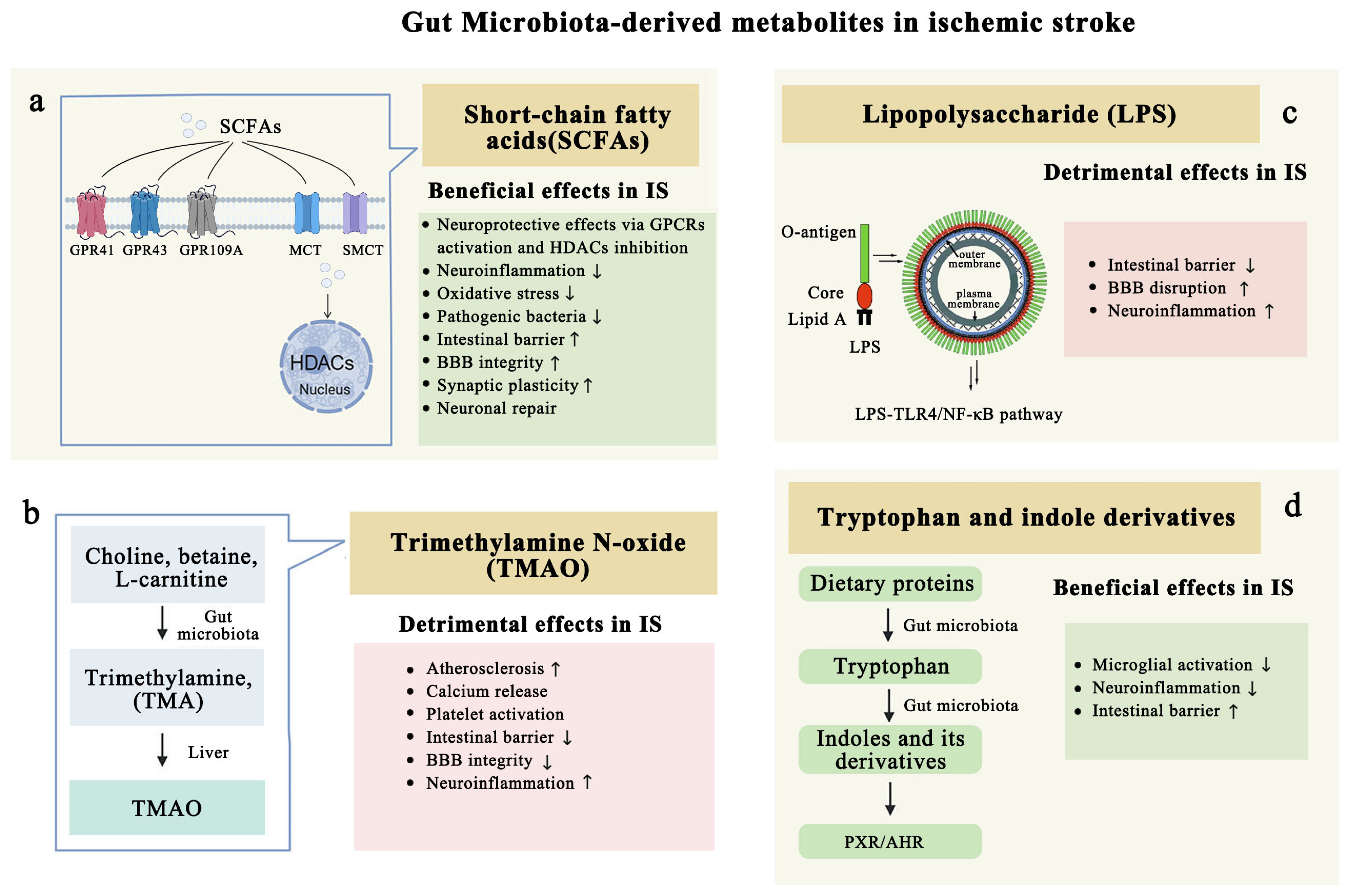 Biomolecules 15 00920 g004