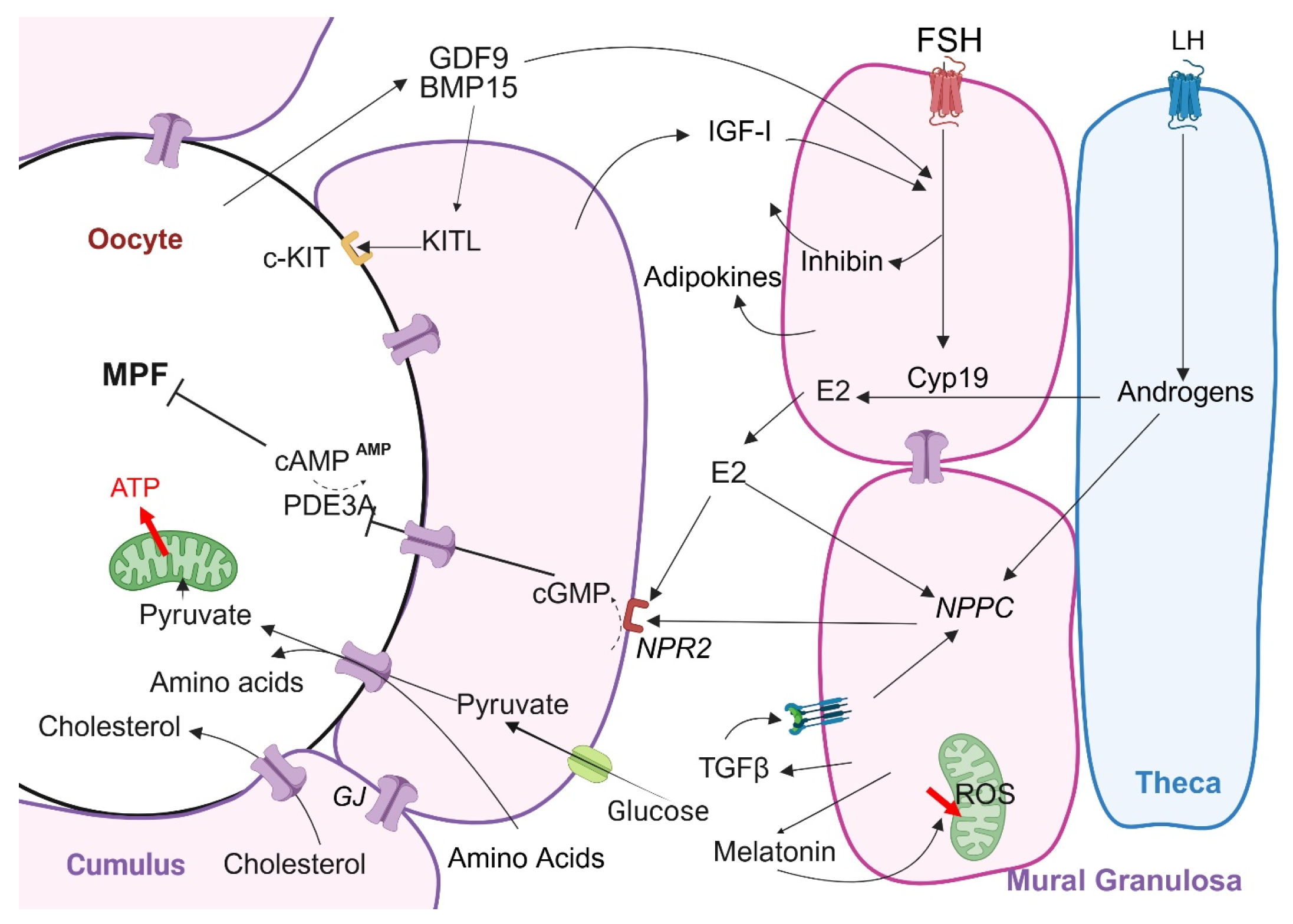 Biomolecules 15 00923 g001