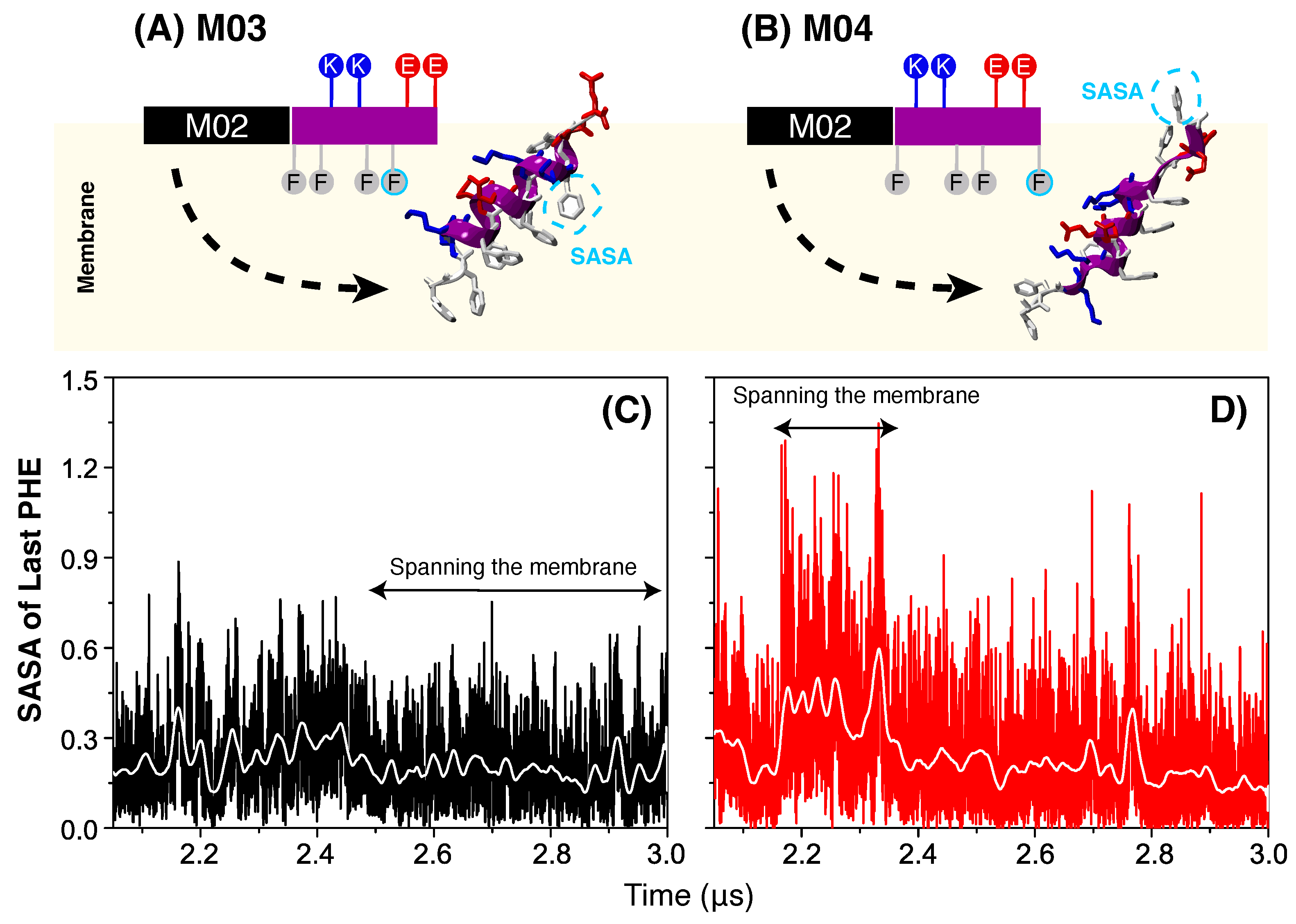 Biomolecules 15 00973 g004