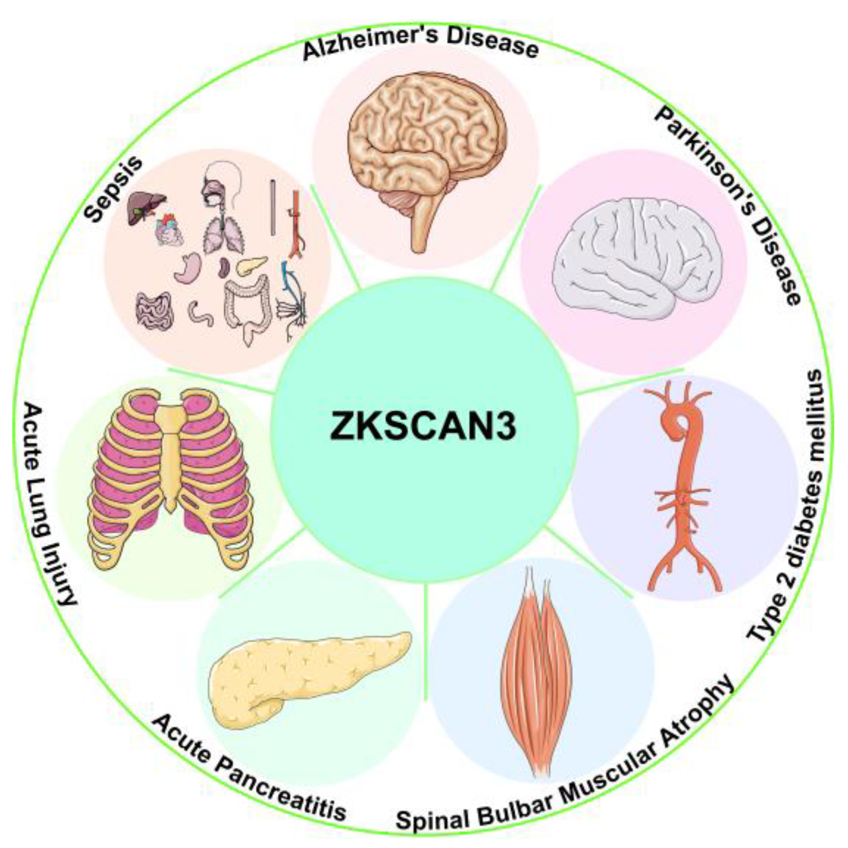 Biomolecules 15 01016 g004 Biomolecules 15 01016 g004