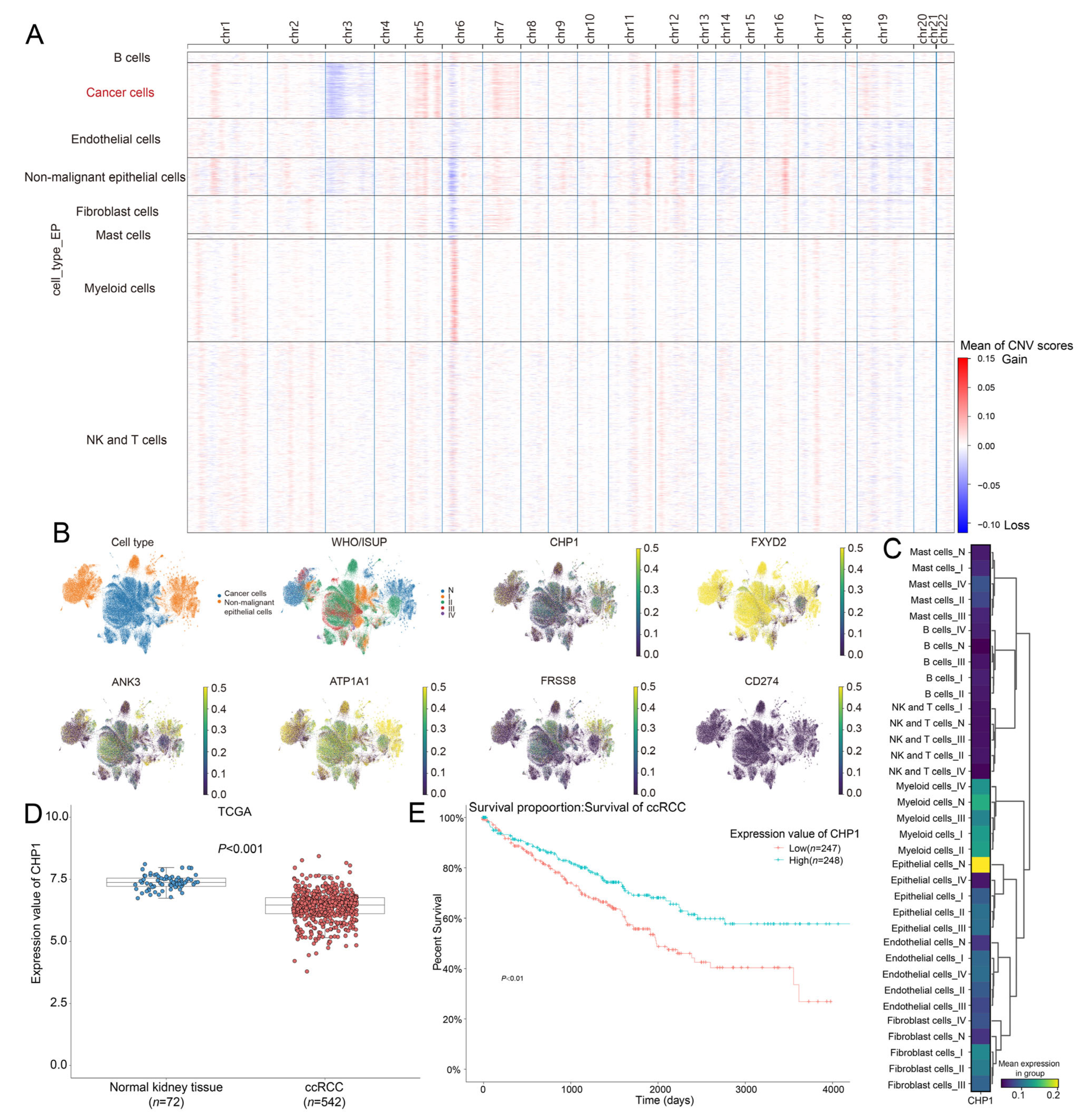 Biomolecules 15 01019 g003