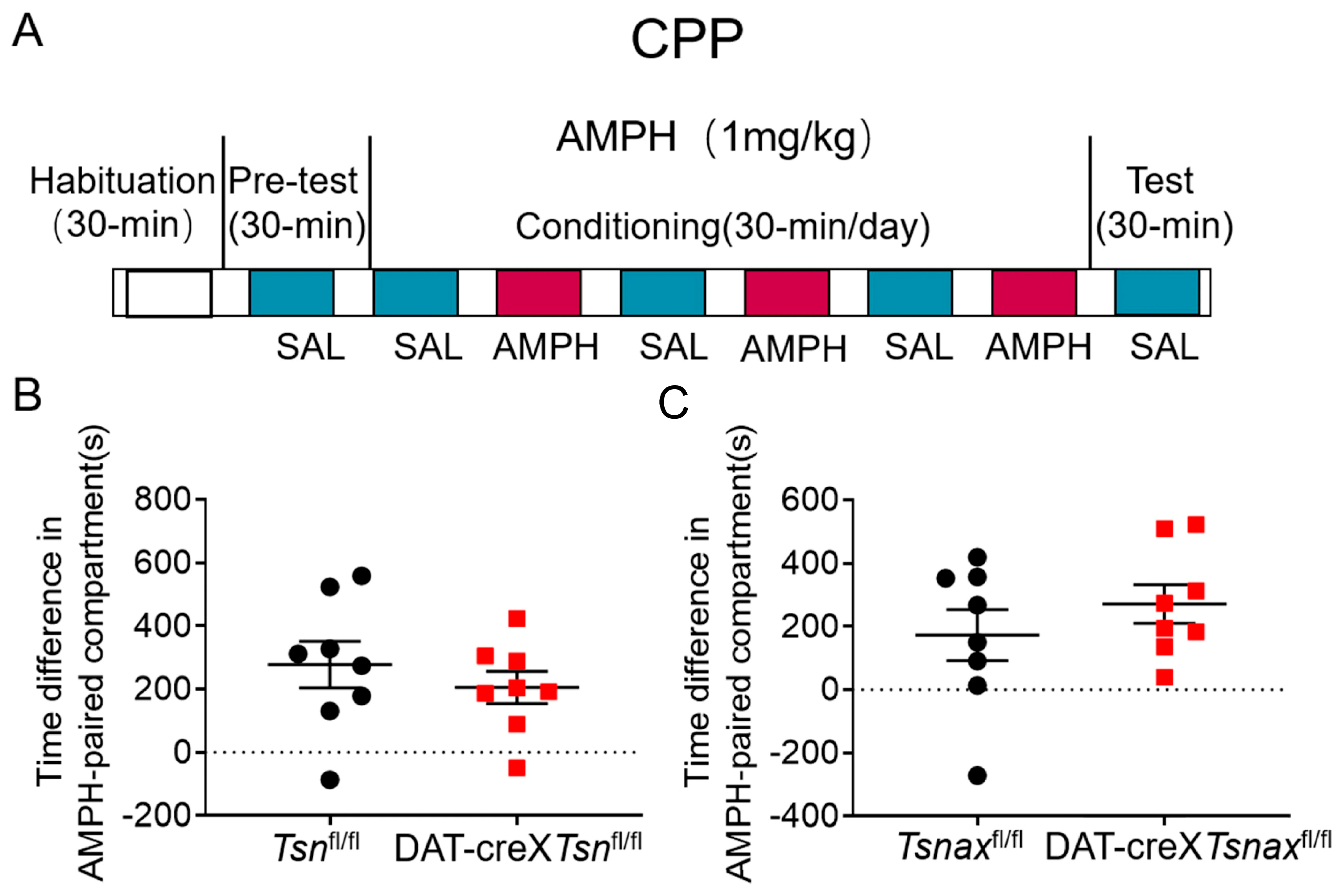 Biomolecules 15 01040 g007