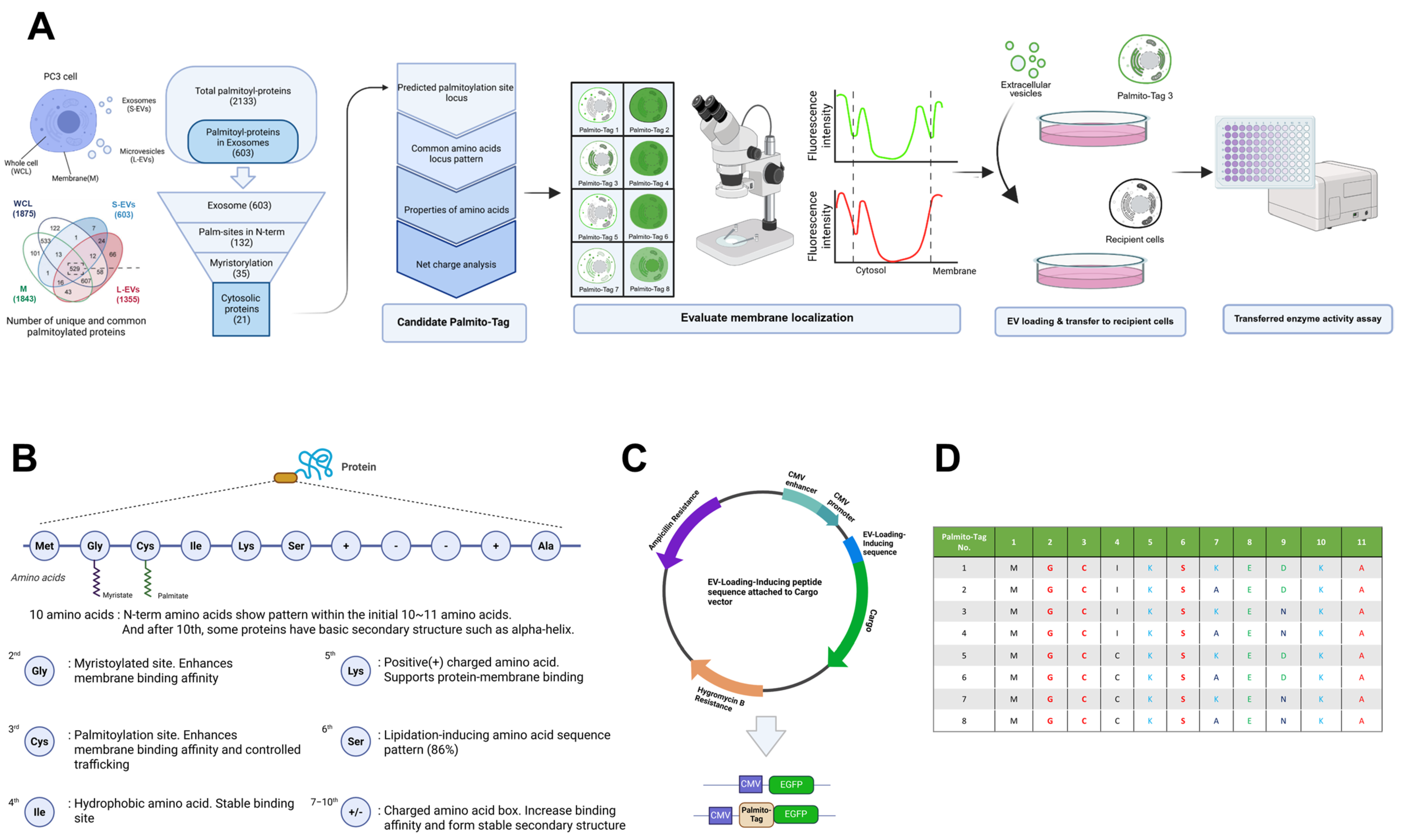 Biomolecules 15 01076 g001