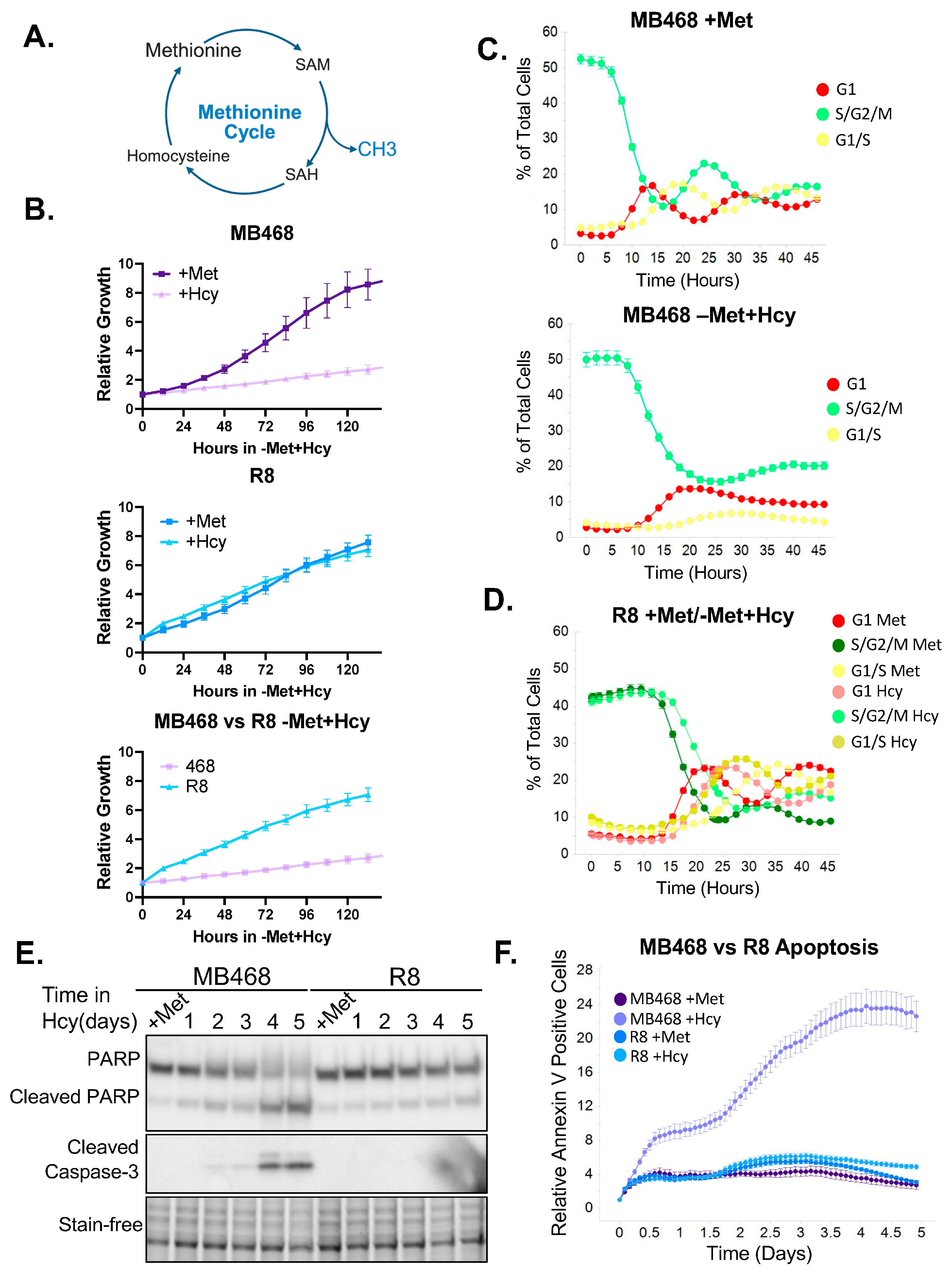 Biomolecules 15 01210 g001 Biomolecules 15 01210 g001