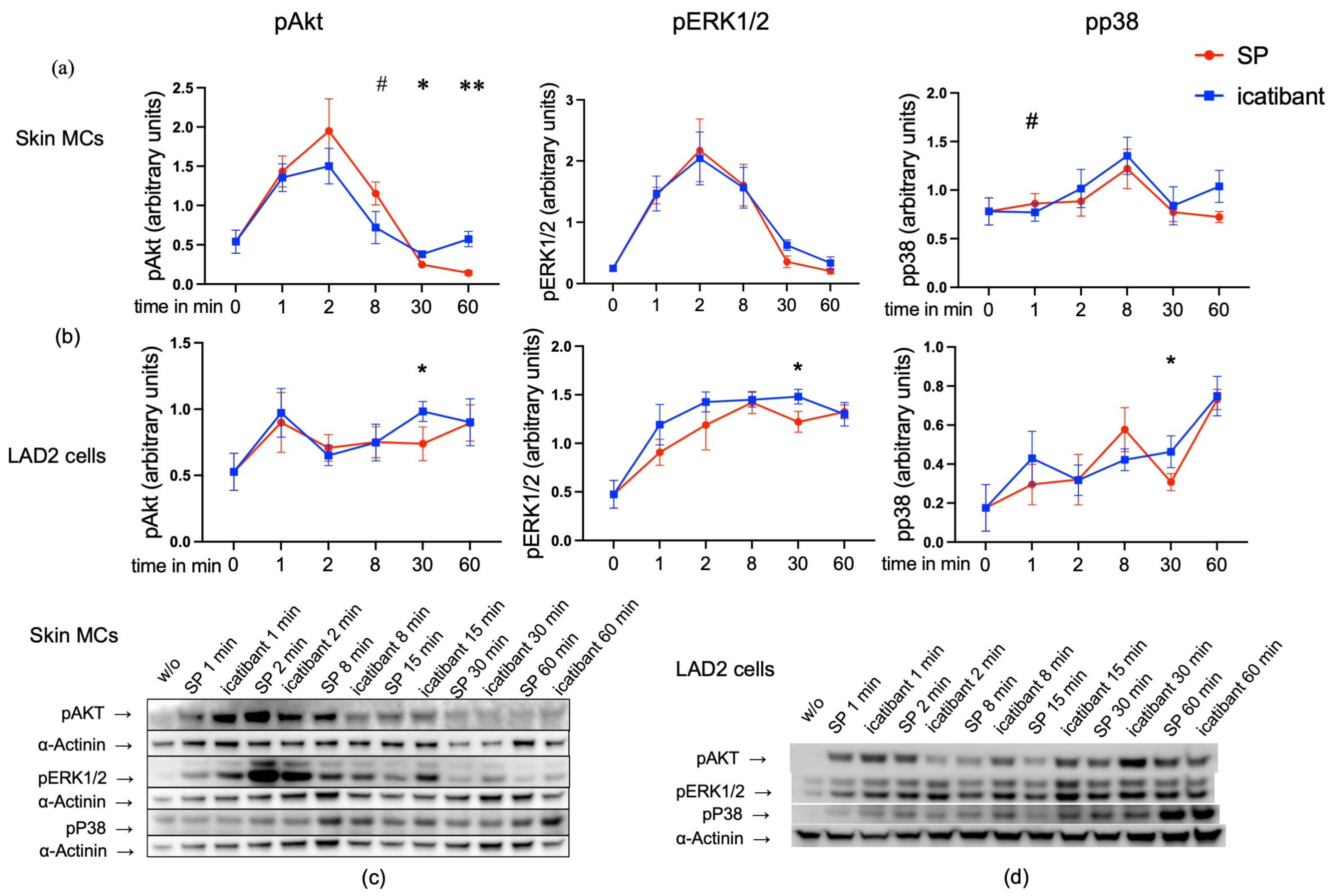Biomolecules 15 01224 g002 Biomolecules 15 01224 g002