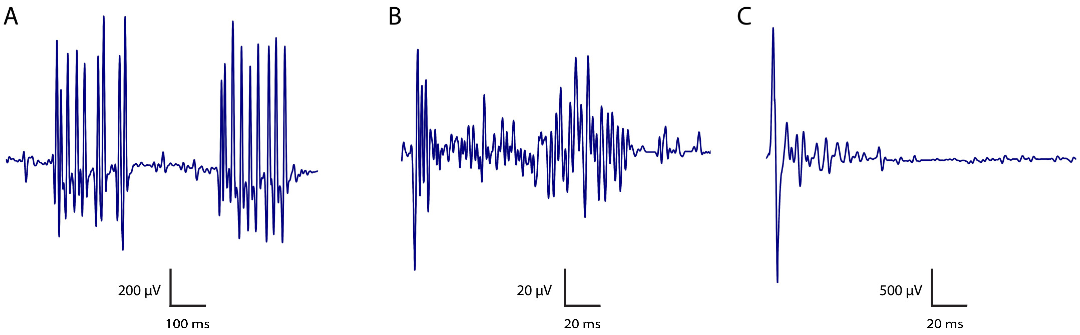Biomolecules 15 01262 g002 Biomolecules 15 01262 g002