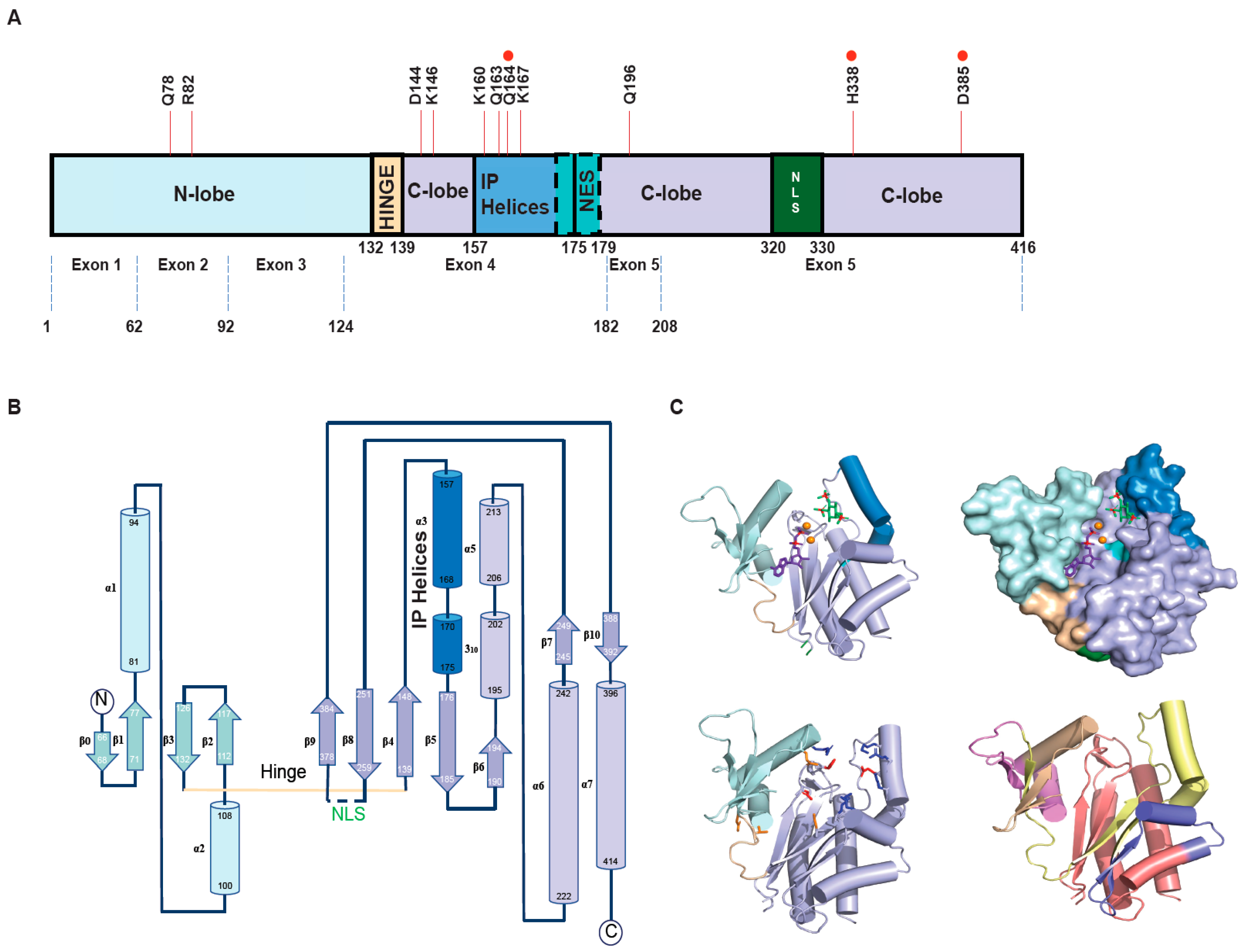 Biomolecules 15 01266 g002 Biomolecules 15 01266 g002