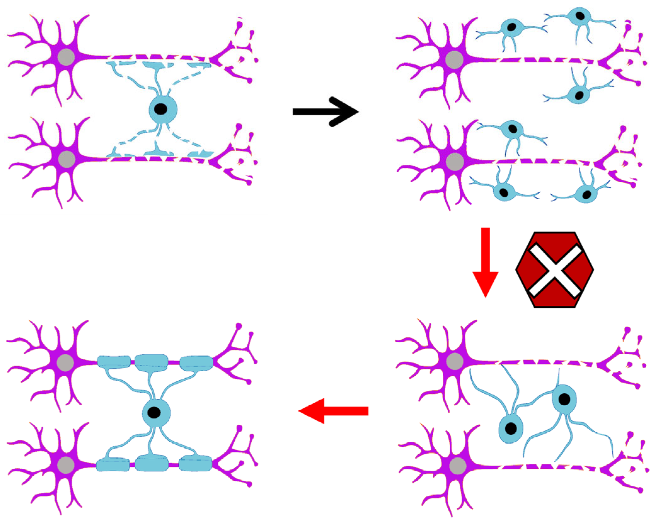 Biomolecules 15 01309 g001 Biomolecules 15 01309 g001