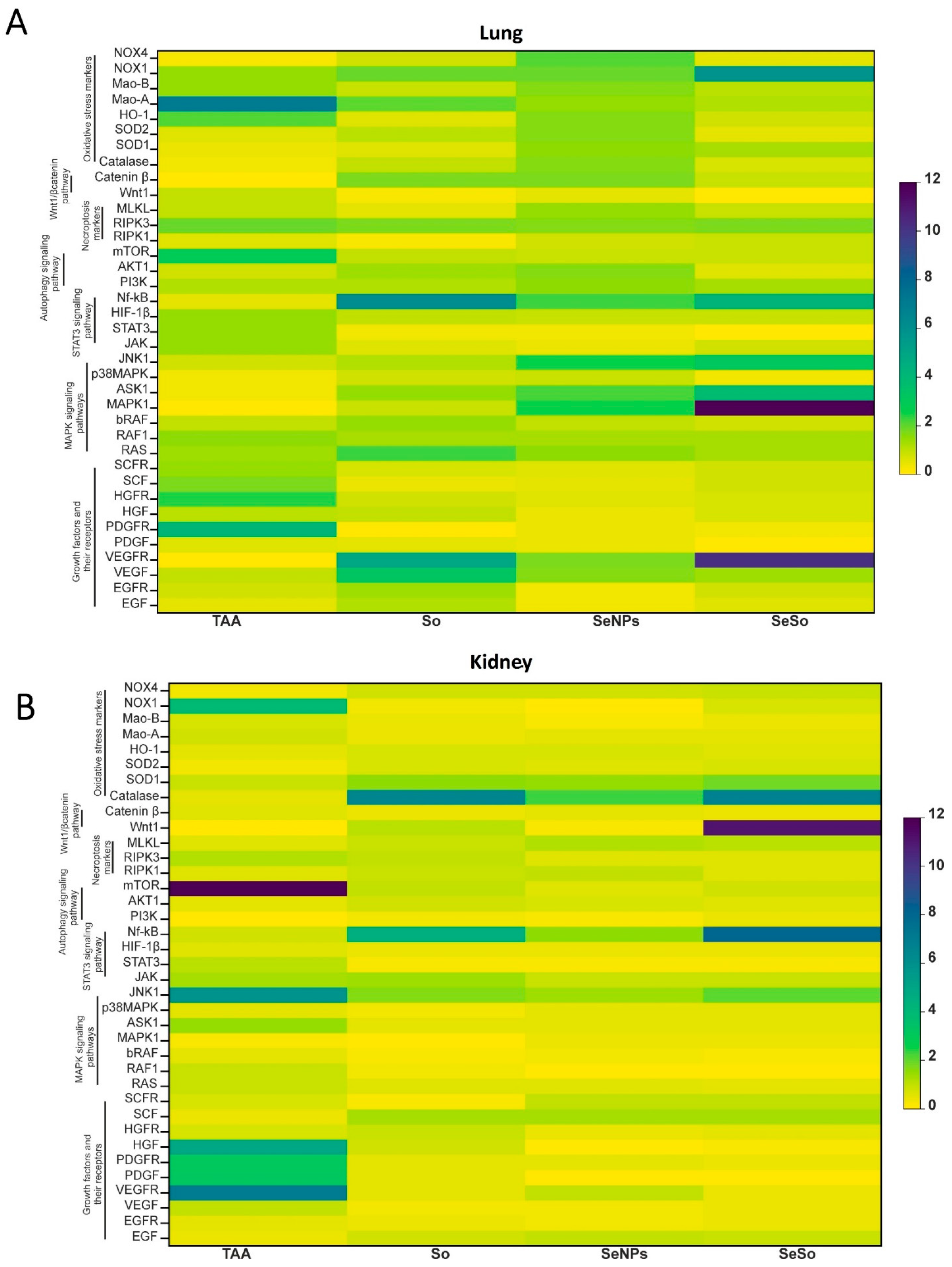Biomolecules 15 01336 g005 Biomolecules 15 01336 g005