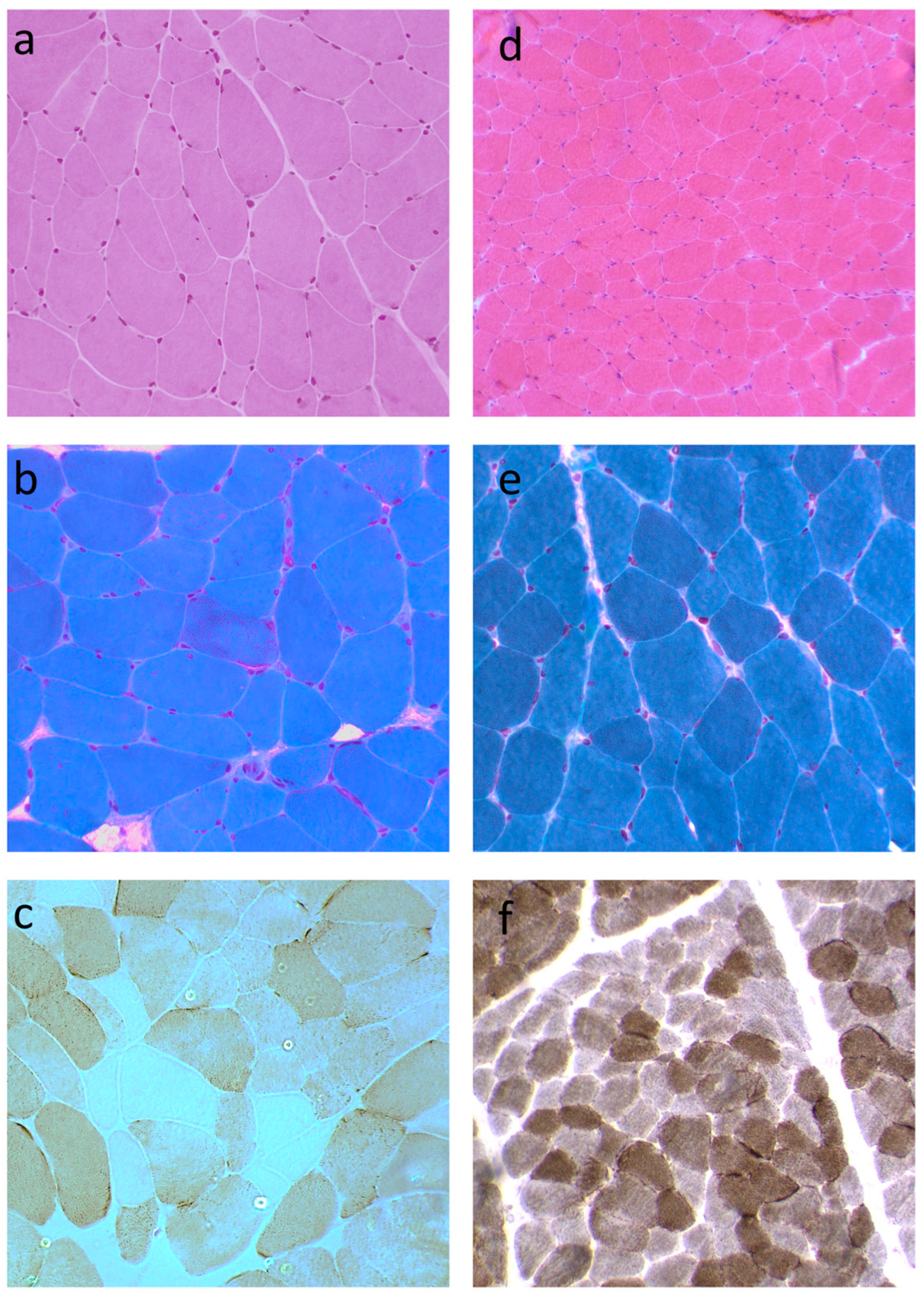 Biomolecules 15 01337 g002 Biomolecules 15 01337 g002