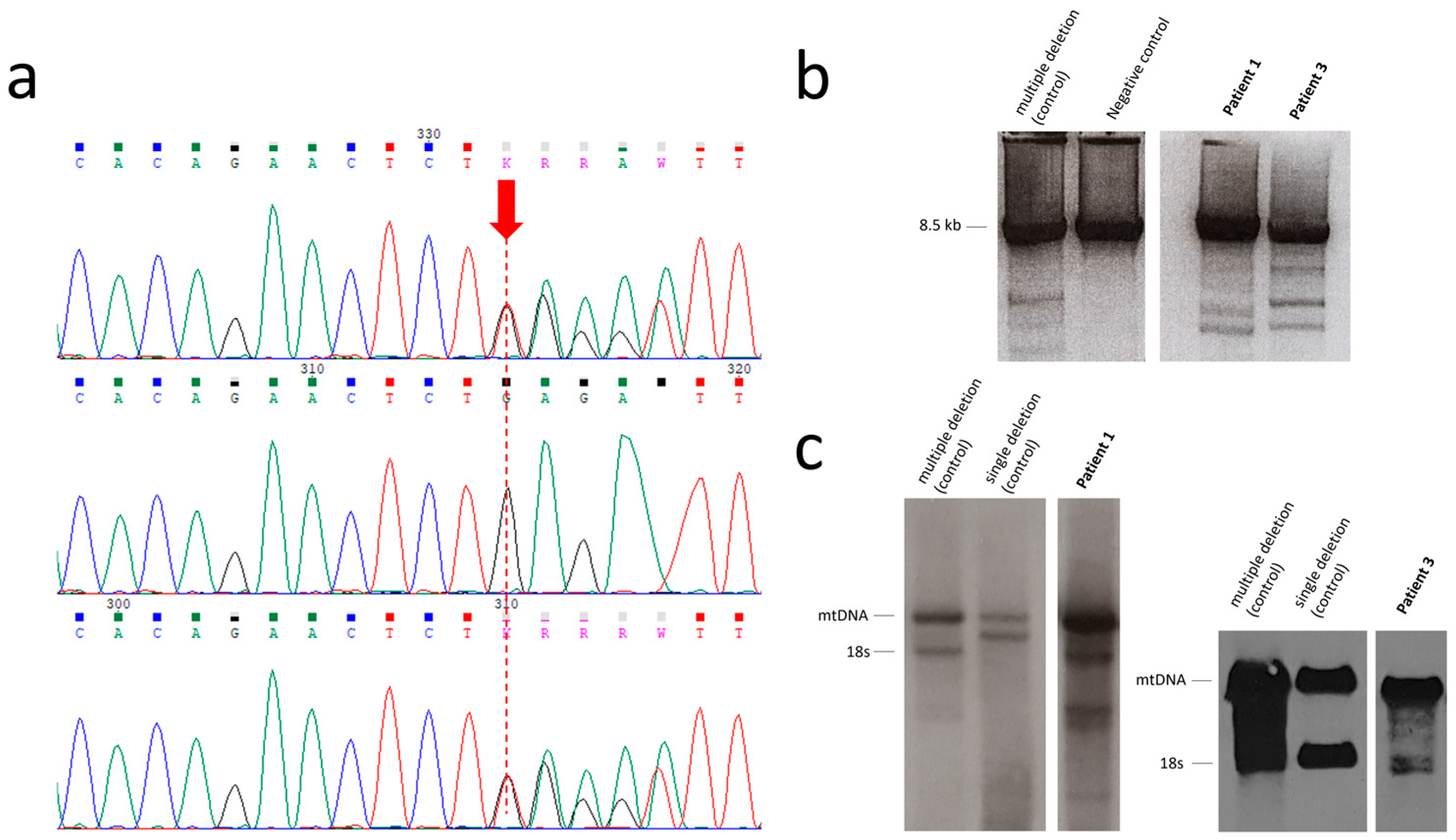 Biomolecules 15 01337 g003 Biomolecules 15 01337 g003