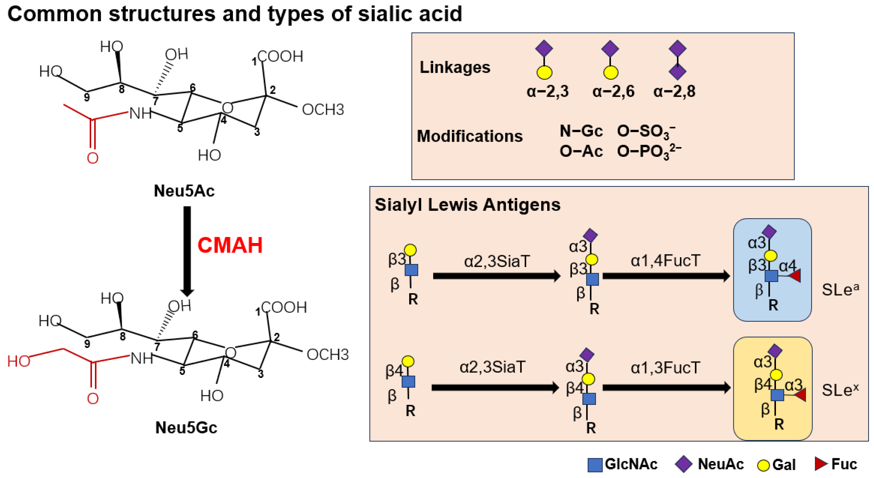 Biomolecules 15 01375 g001 Biomolecules 15 01375 g001