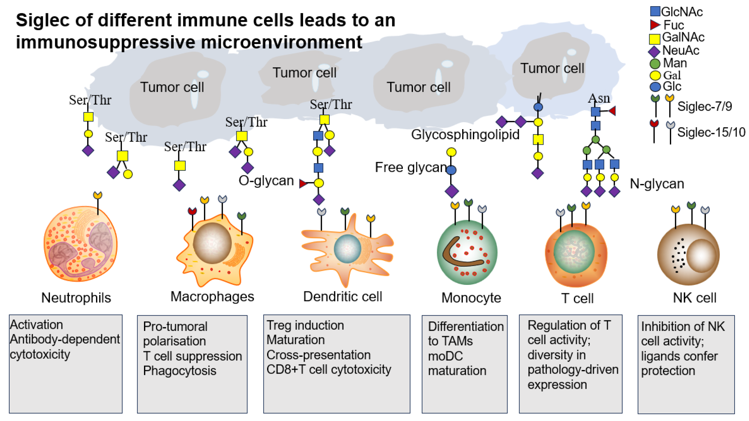Biomolecules 15 01375 g004 Biomolecules 15 01375 g004
