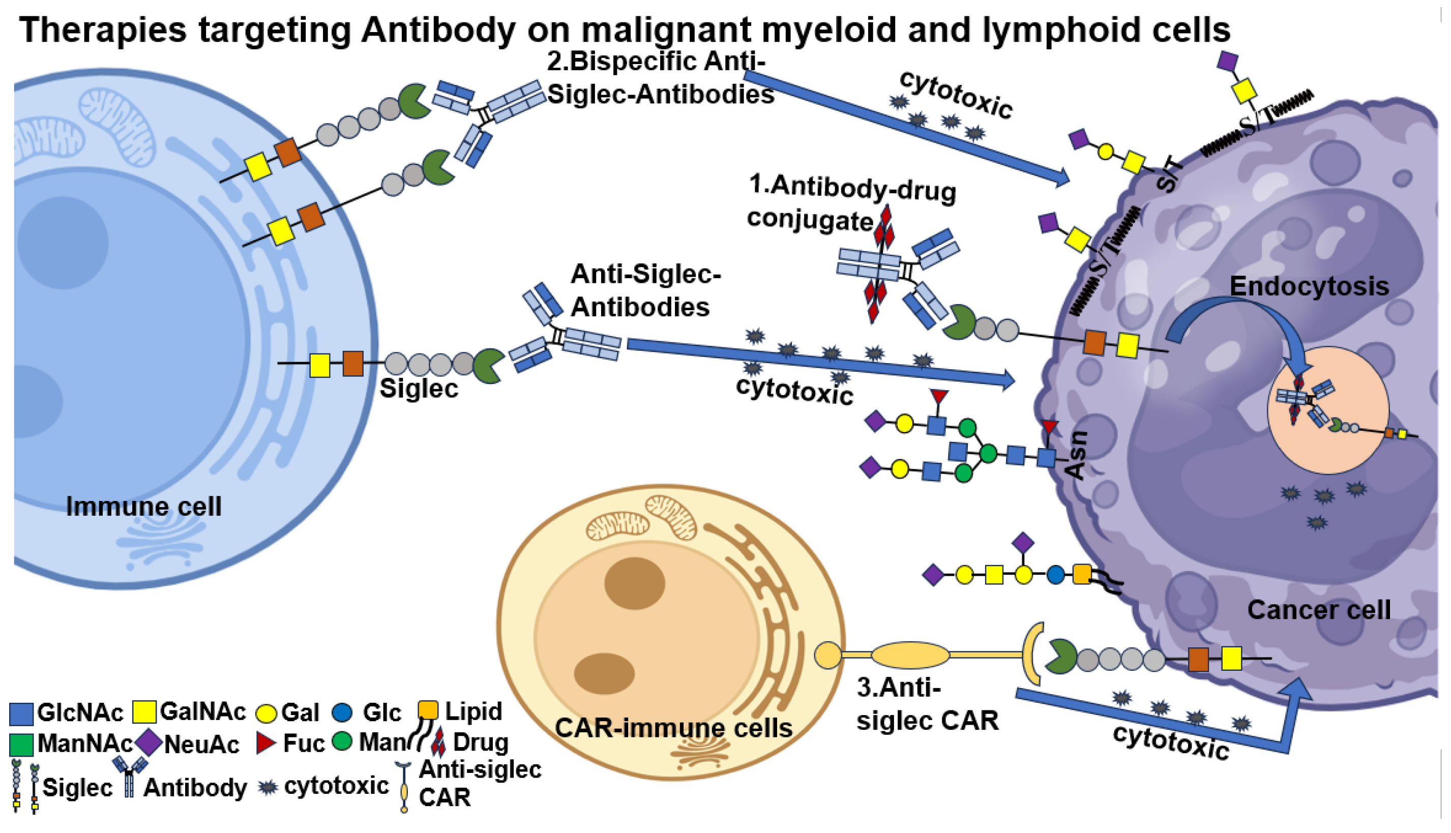 Biomolecules 15 01375 g005 Biomolecules 15 01375 g005
