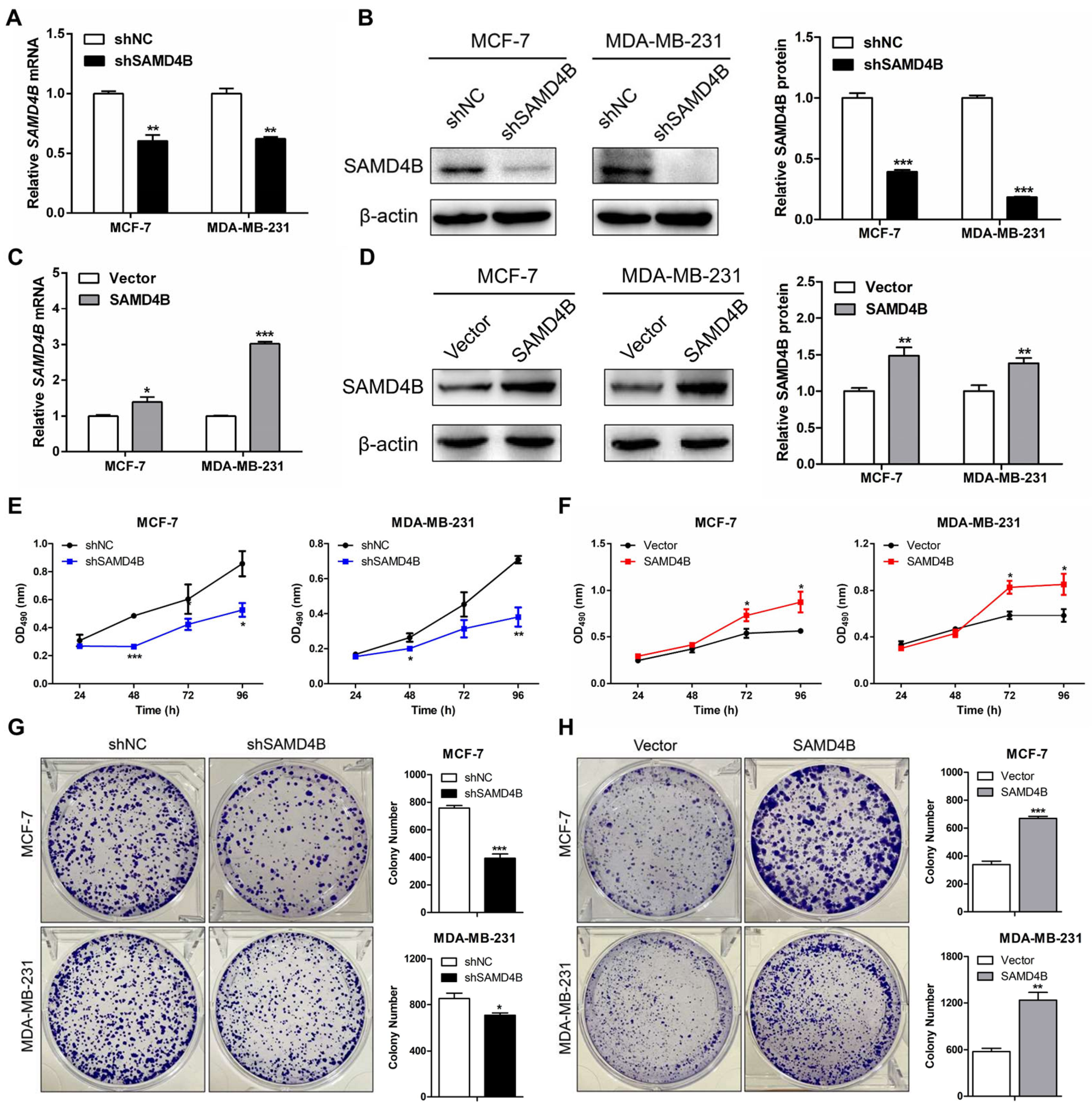 Biomolecules 15 01423 g002 Biomolecules 15 01423 g002