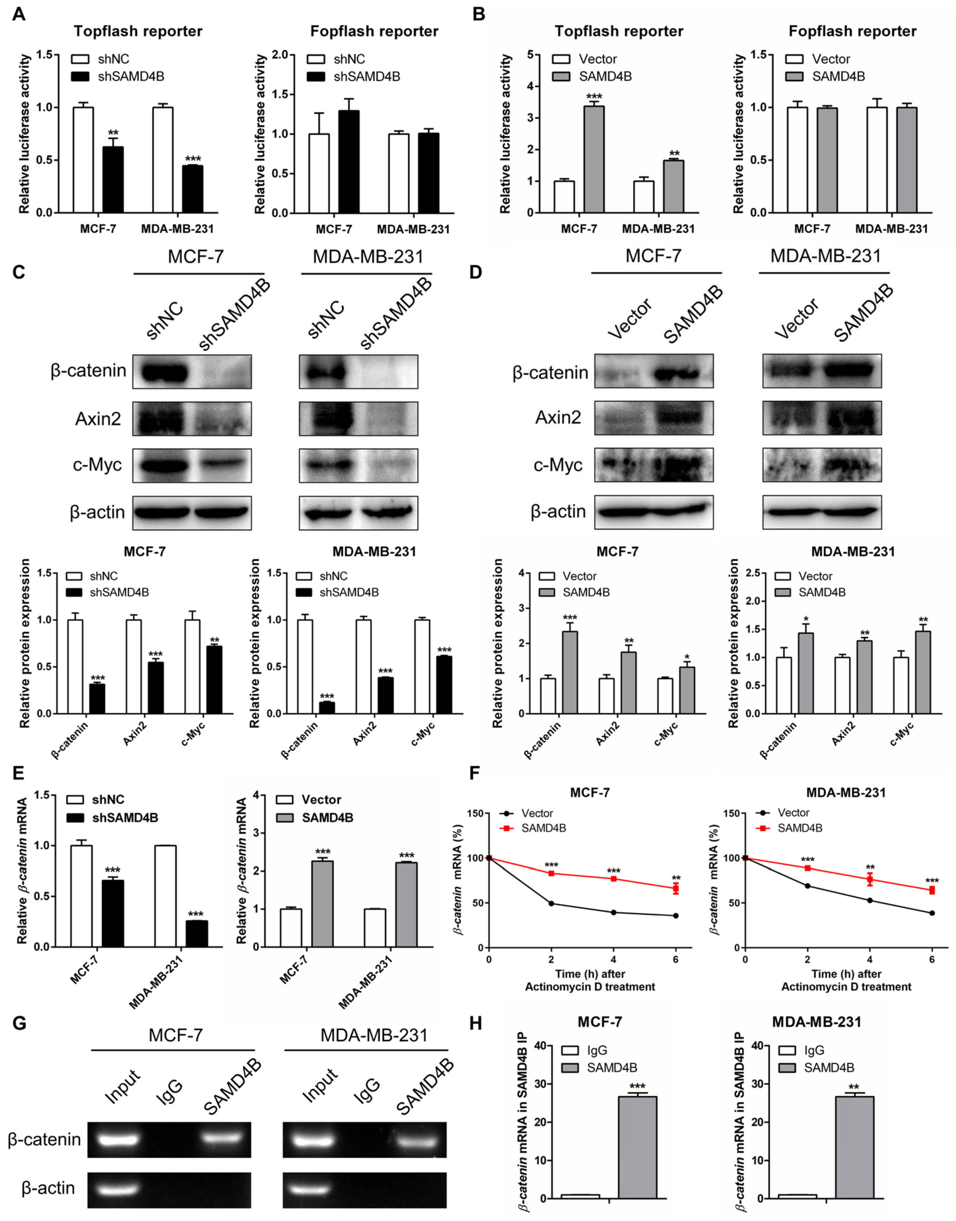 Biomolecules 15 01423 g006 Biomolecules 15 01423 g006