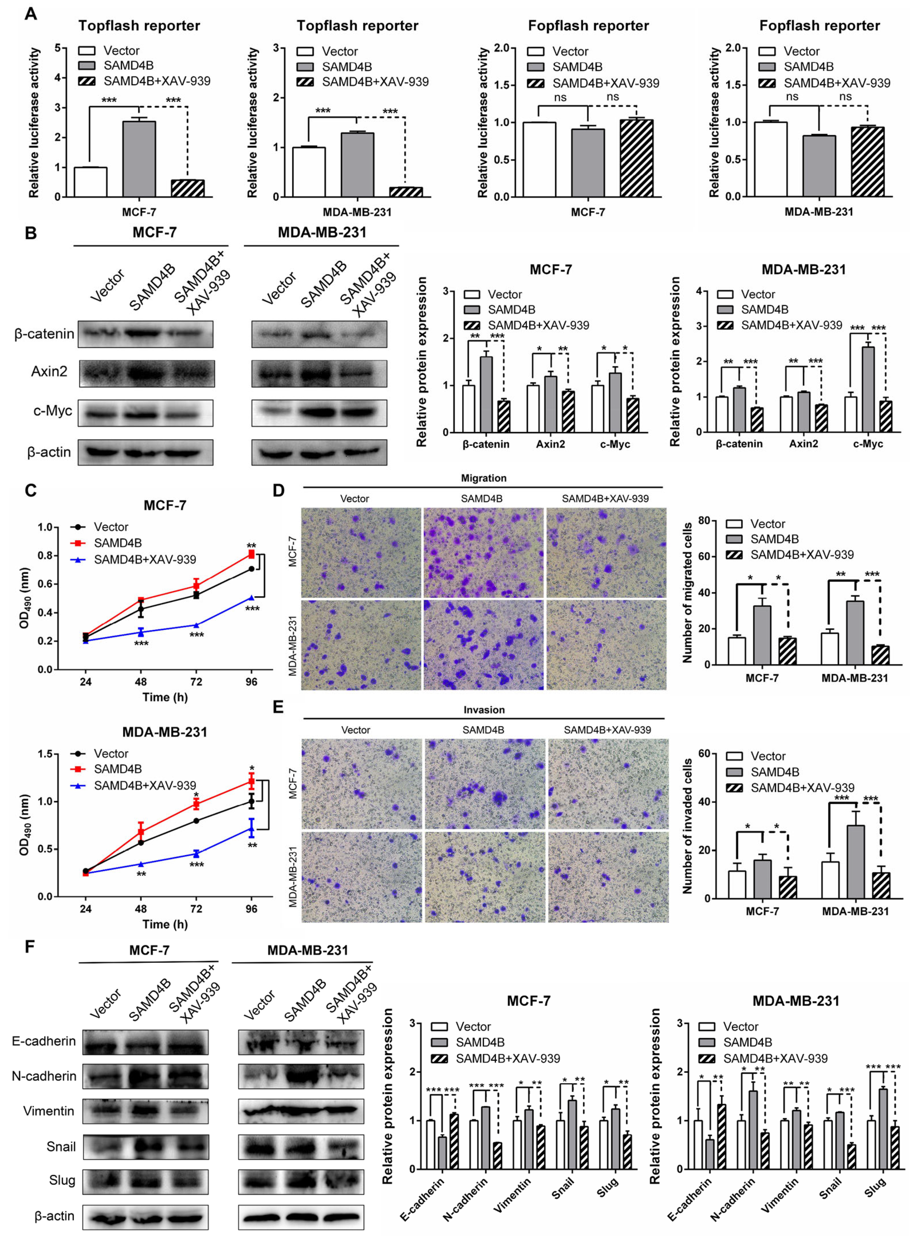 Biomolecules 15 01423 g007 Biomolecules 15 01423 g007