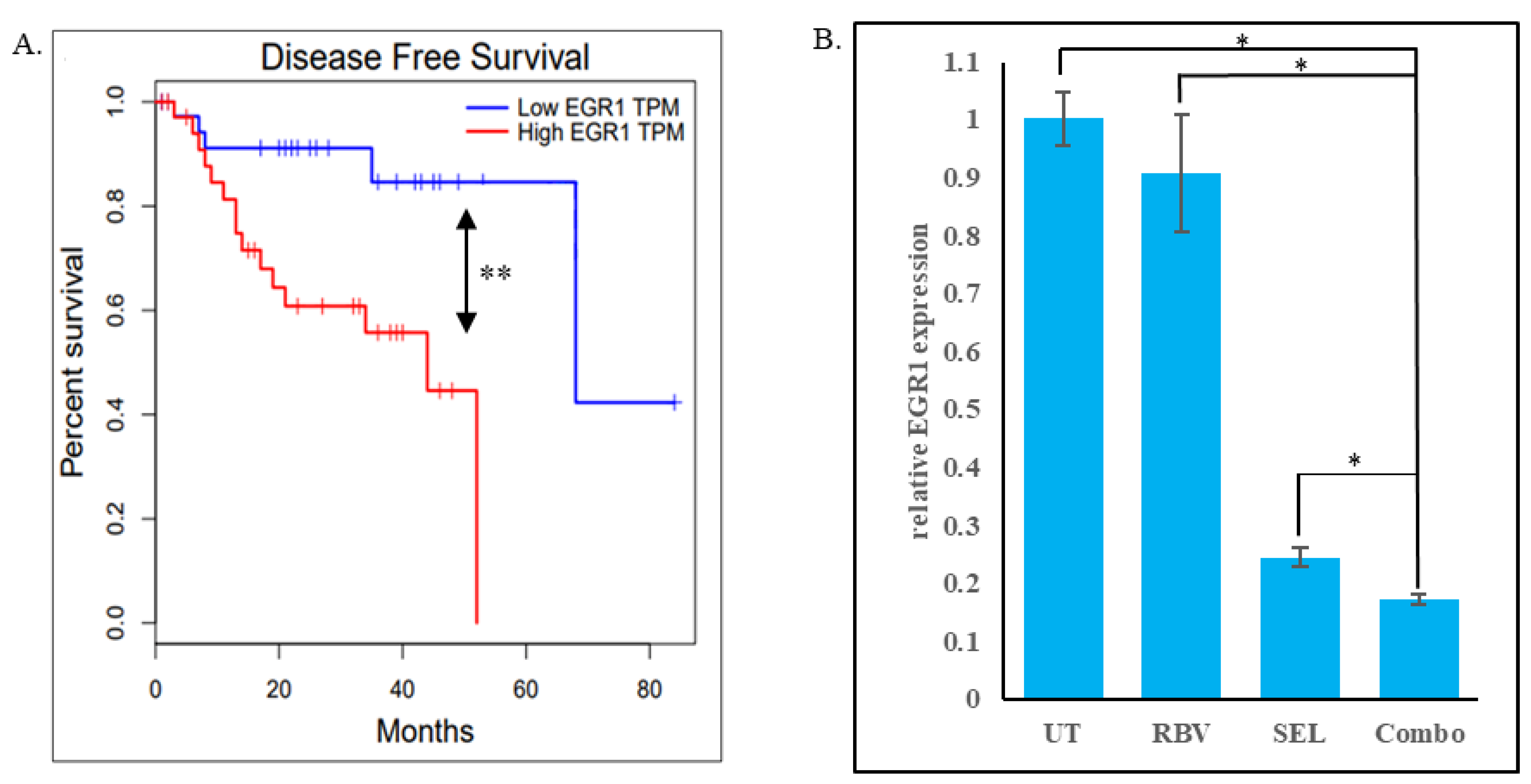 Biomolecules 15 01425 g007 Biomolecules 15 01425 g007