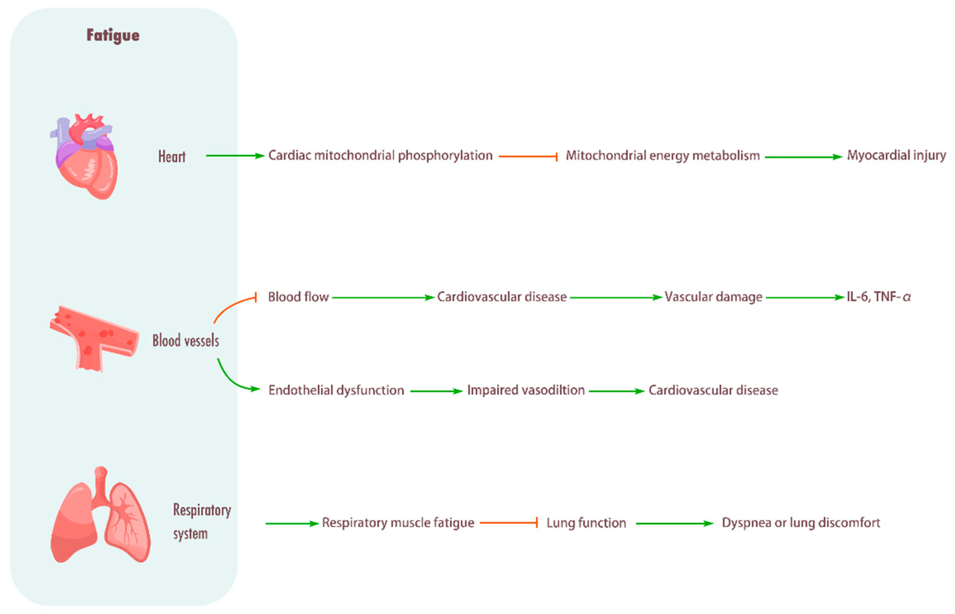 Biomolecules 15 01476 g003 Biomolecules 15 01476 g003