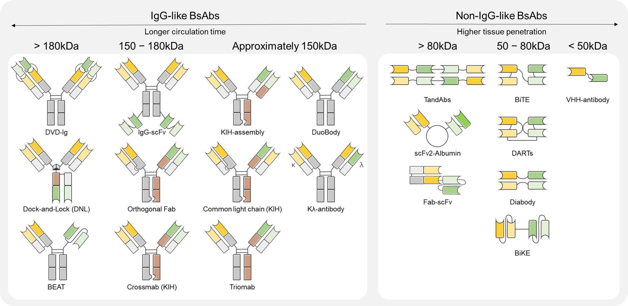 Biomolecules 15 01477 g001 Biomolecules 15 01477 g001