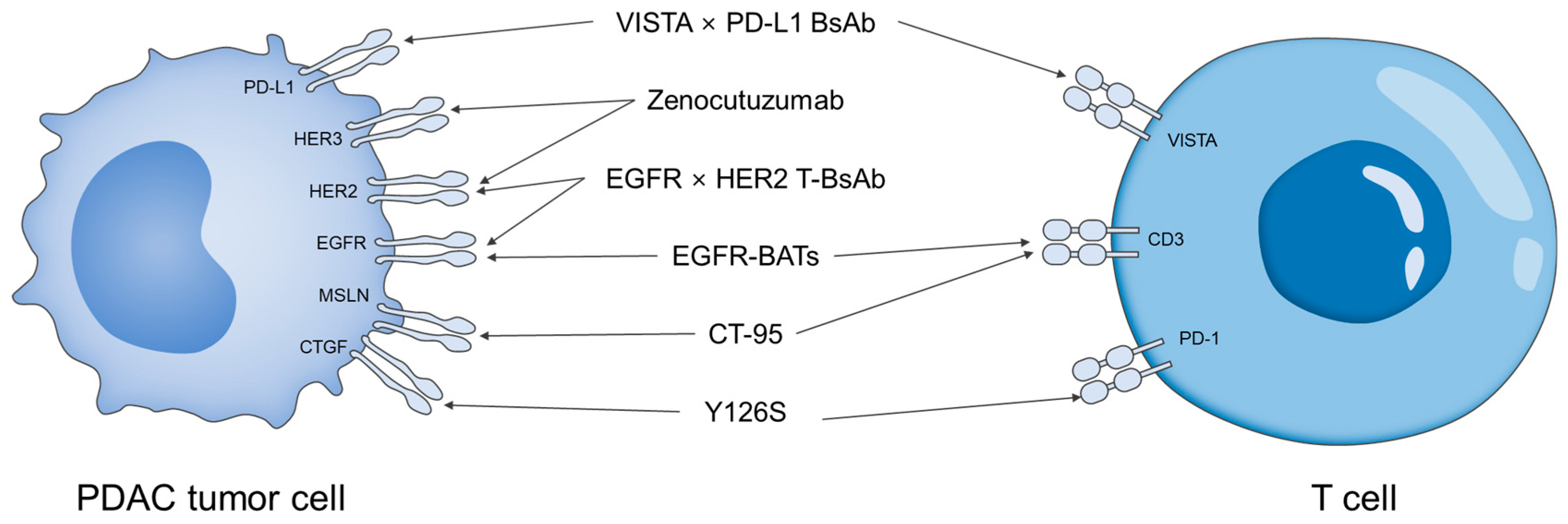 Biomolecules 15 01477 g002 Biomolecules 15 01477 g002