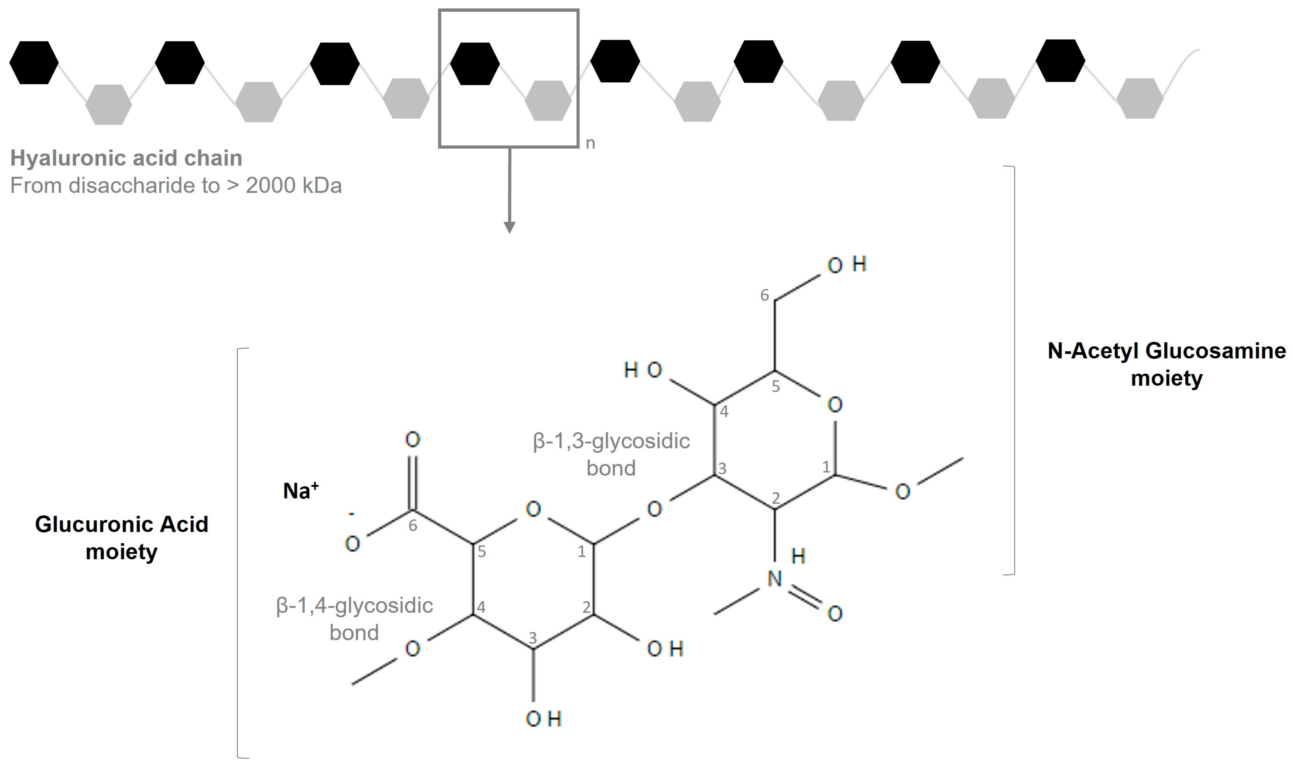 Biomolecules 15 01656 g001 Biomolecules 15 01656 g001
