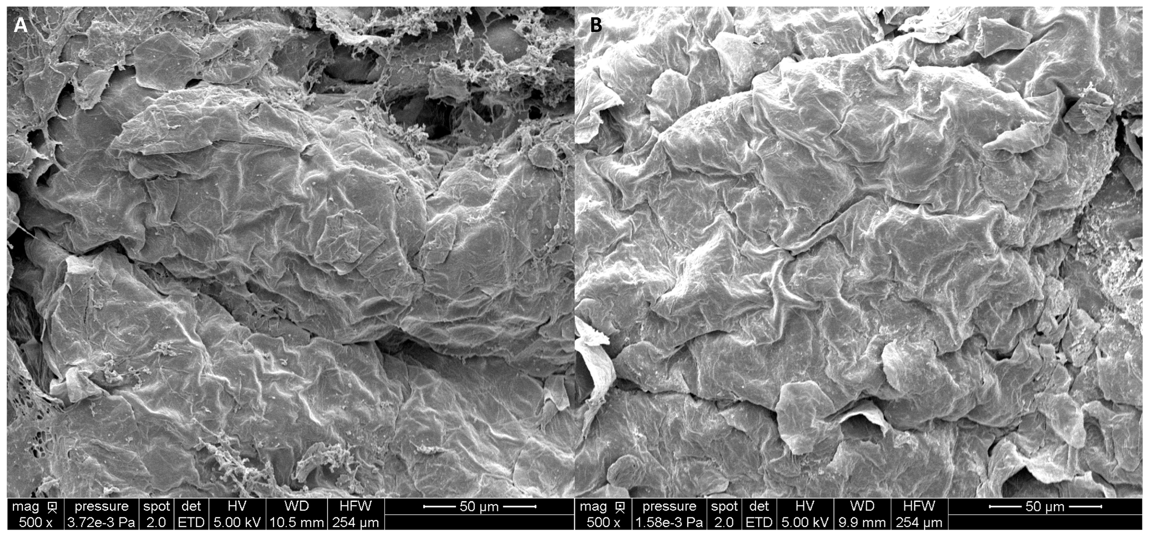 Biomolecules 15 01656 g003 Biomolecules 15 01656 g003