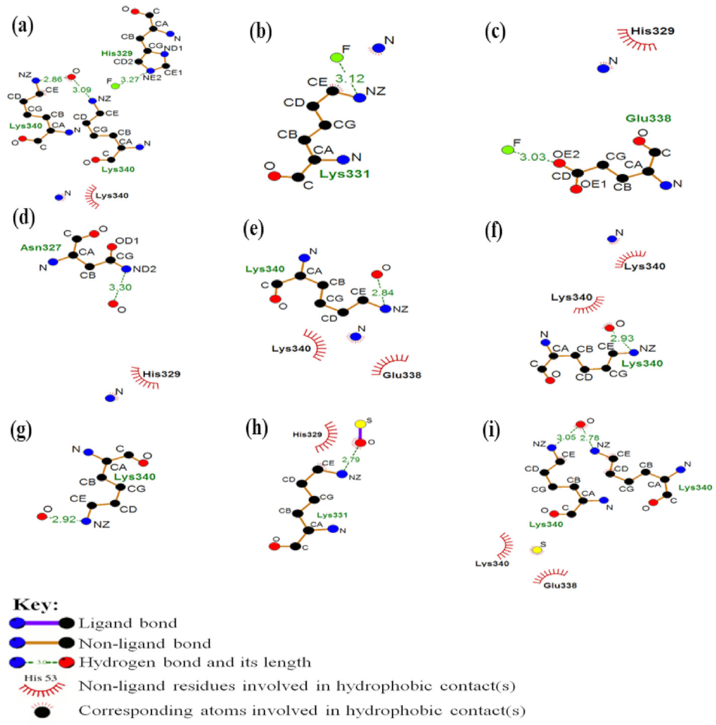 Biophysica 01 00007 g003 Biophysica 01 00007 g003