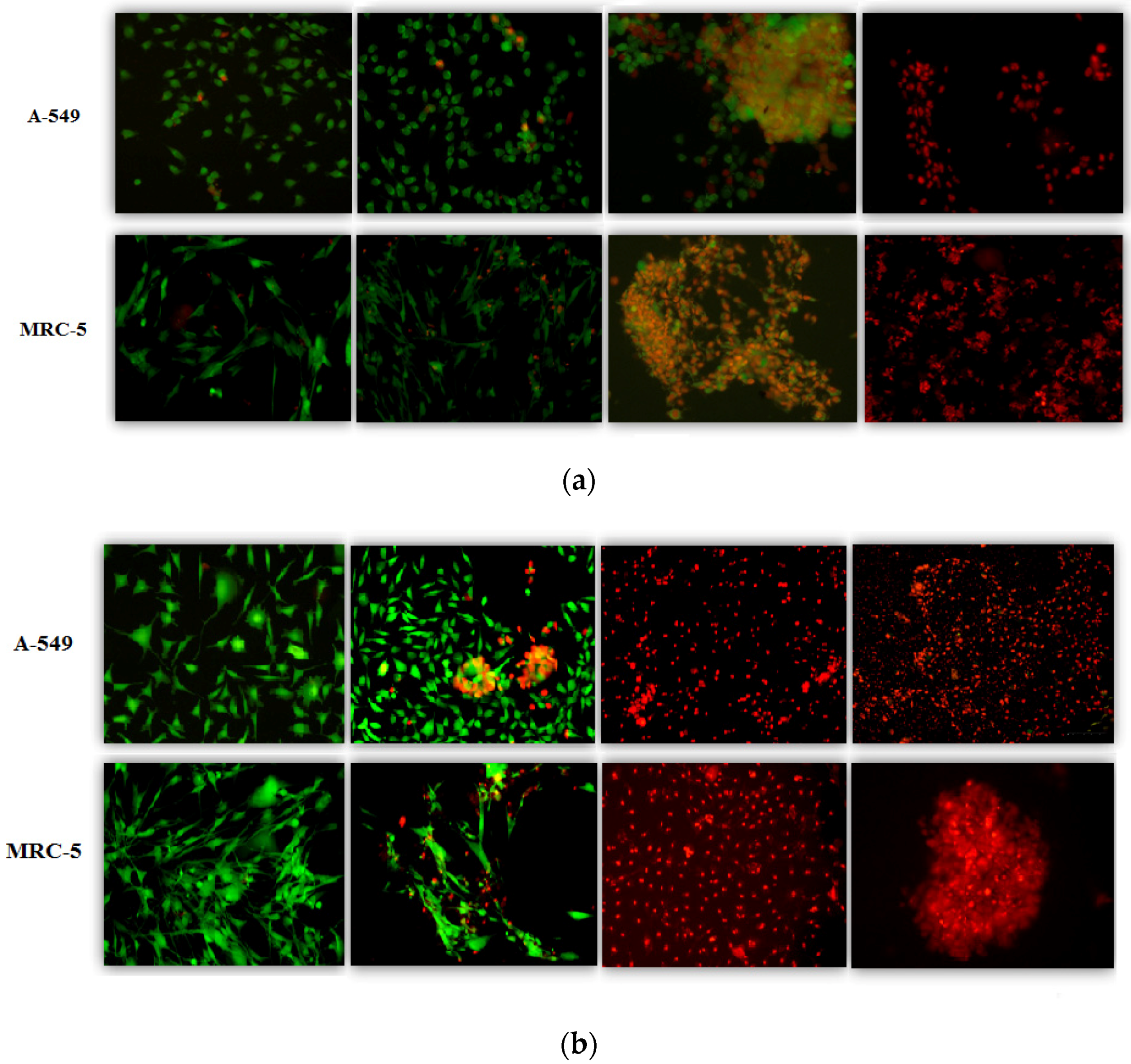 Biophysica 01 00010 g004 Biophysica 01 00010 g004