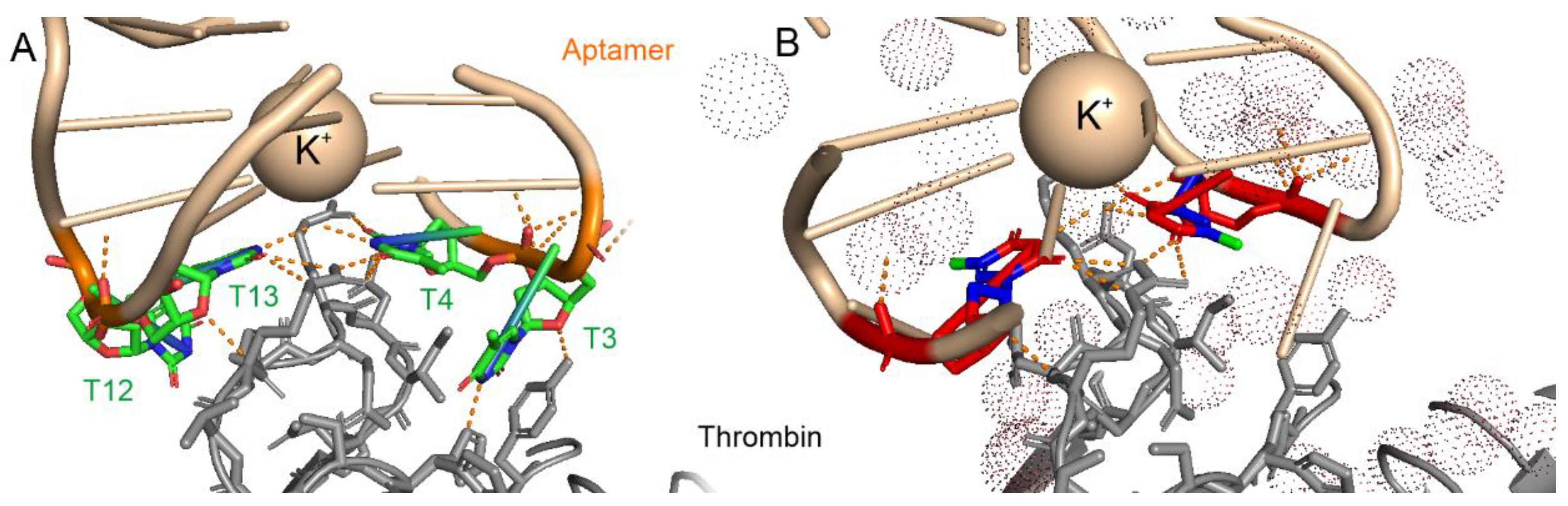 Biophysica 01 00014 g001 Biophysica 01 00014 g001