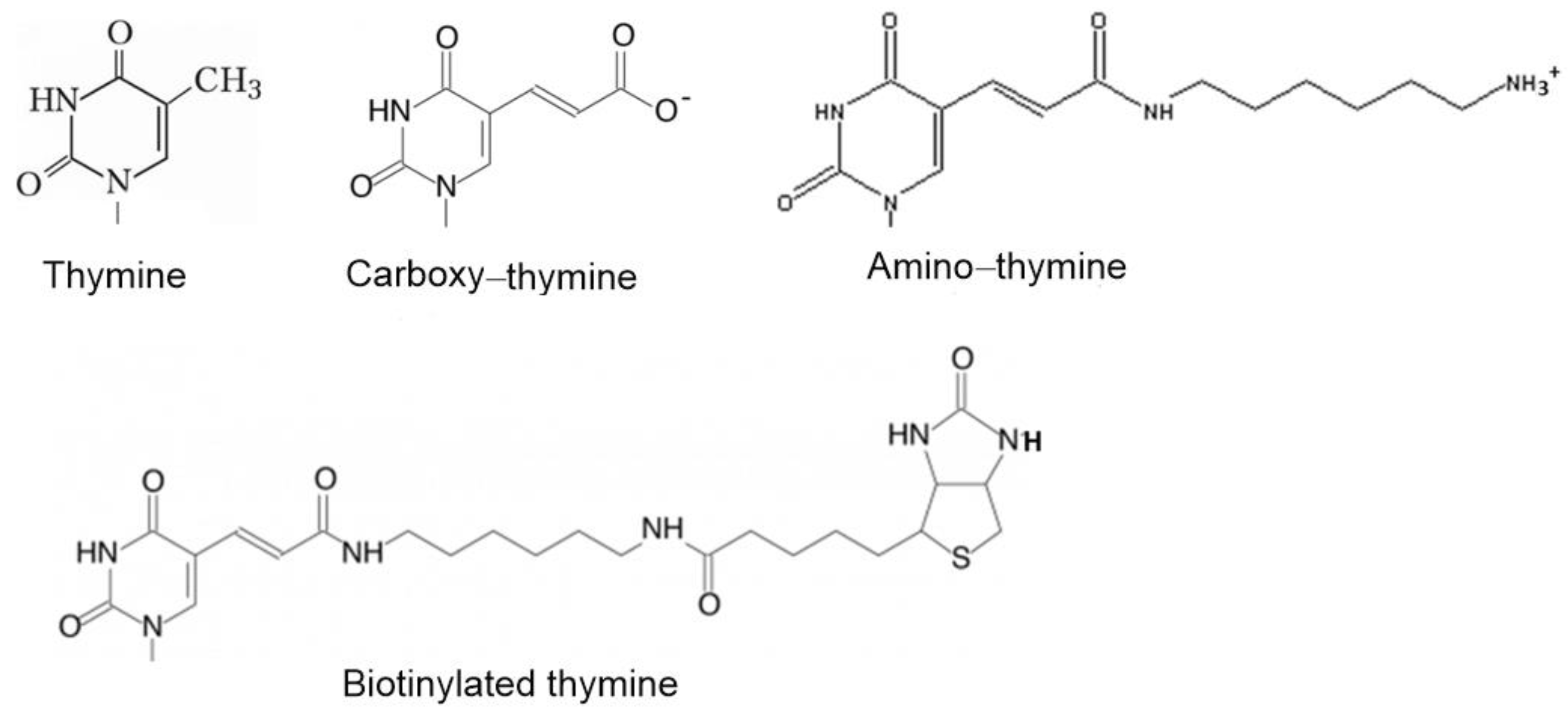 Biophysica 01 00014 g003 Biophysica 01 00014 g003