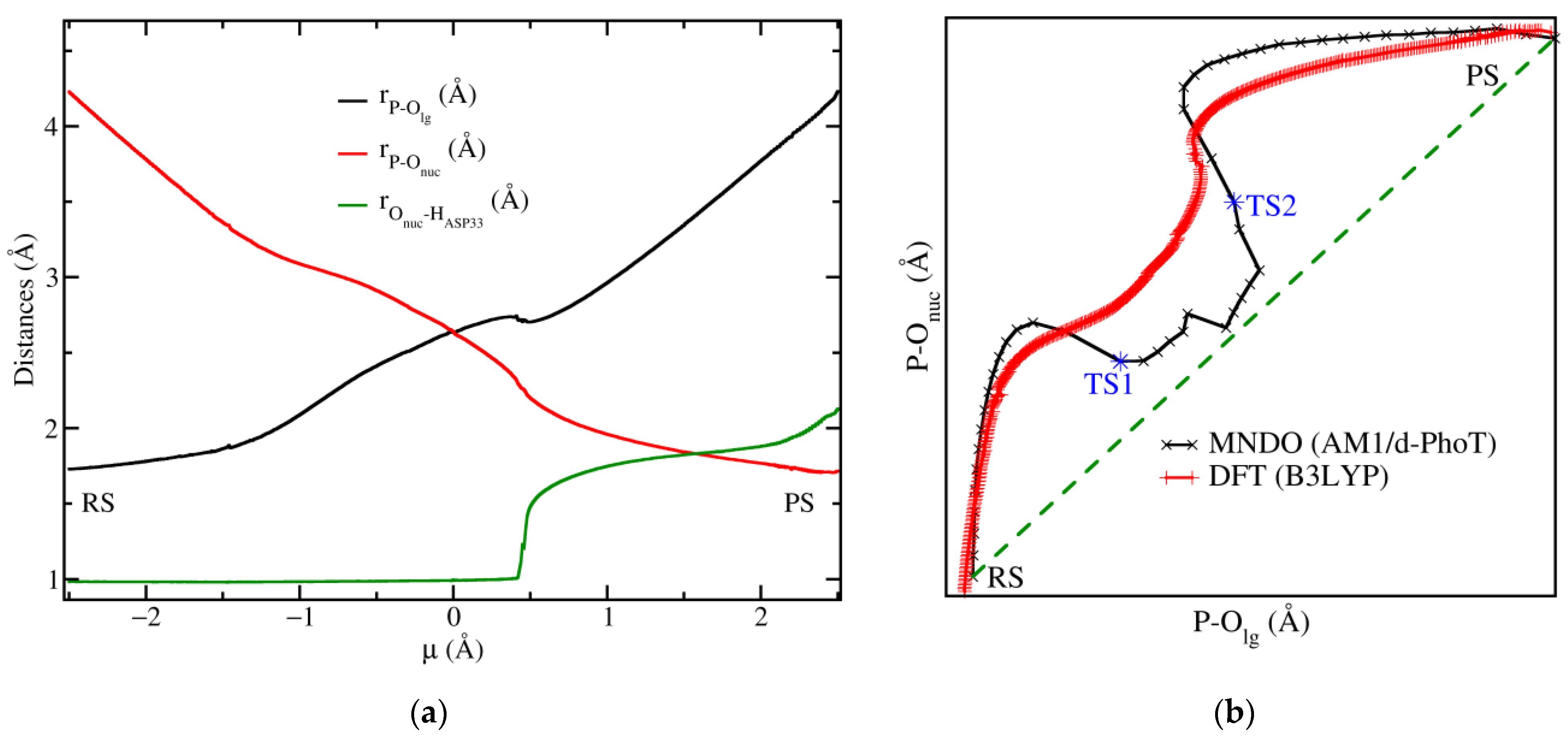 Biophysica 01 00025 g002