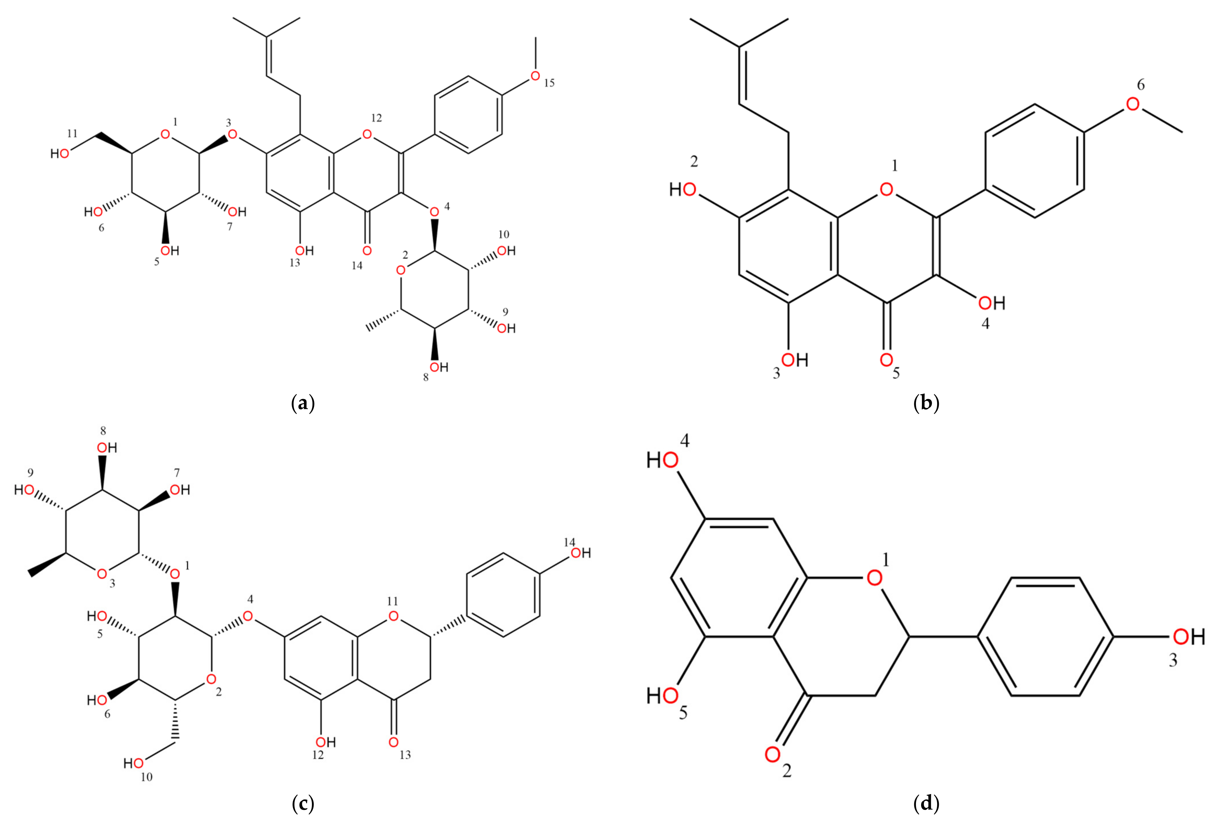 Biophysica 01 00033 g001