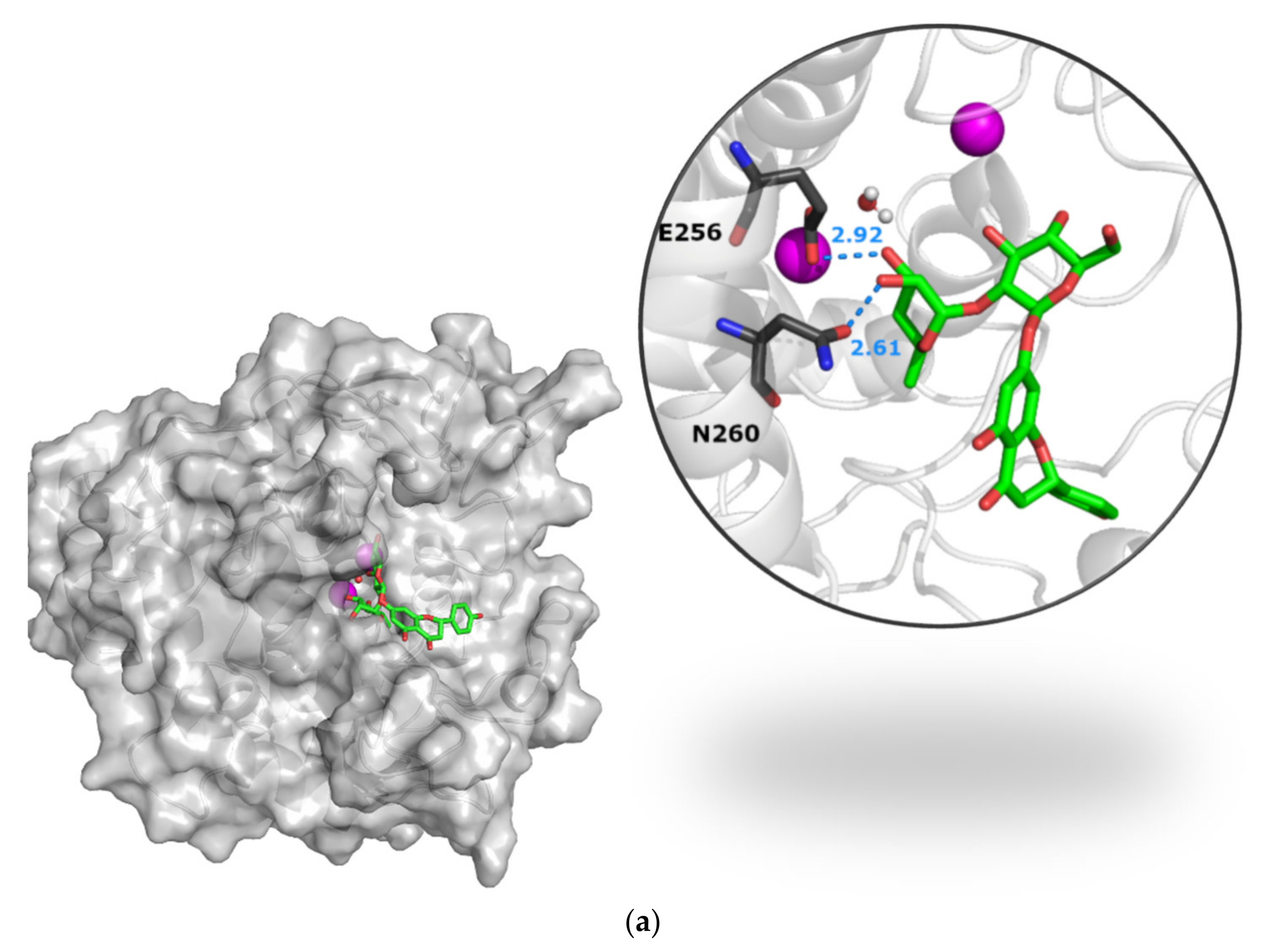 Biophysica 01 00033 g005a