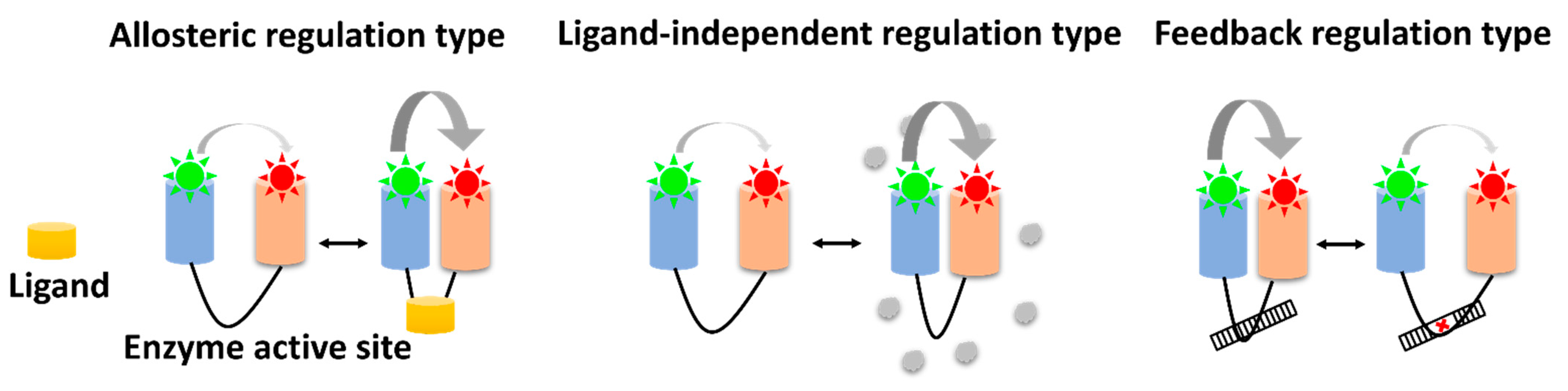 Biophysica | Free Full-Text | Analysis Of Enzyme Conformation Dynamics ...