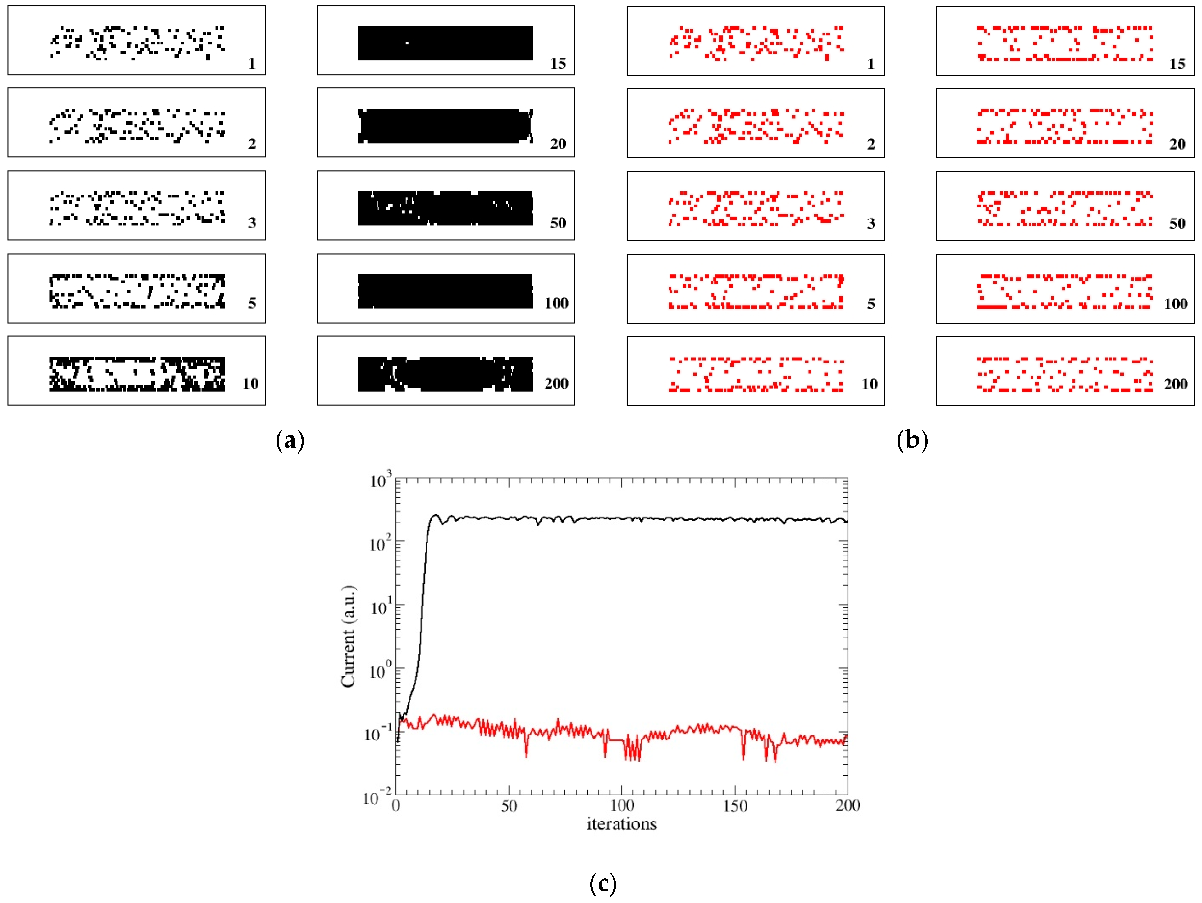 Biophysica 02 00026 g002