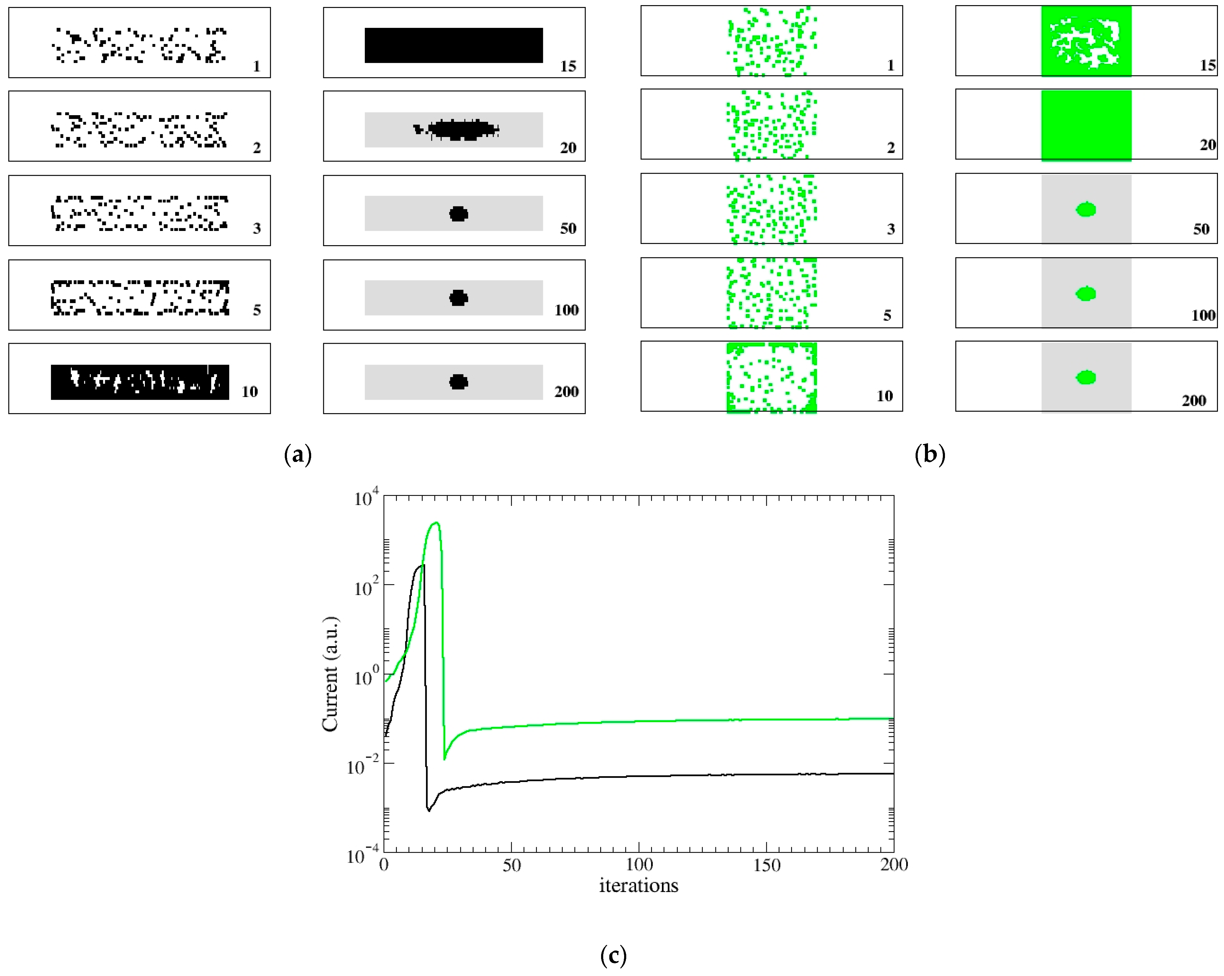 Biophysica 02 00026 g005