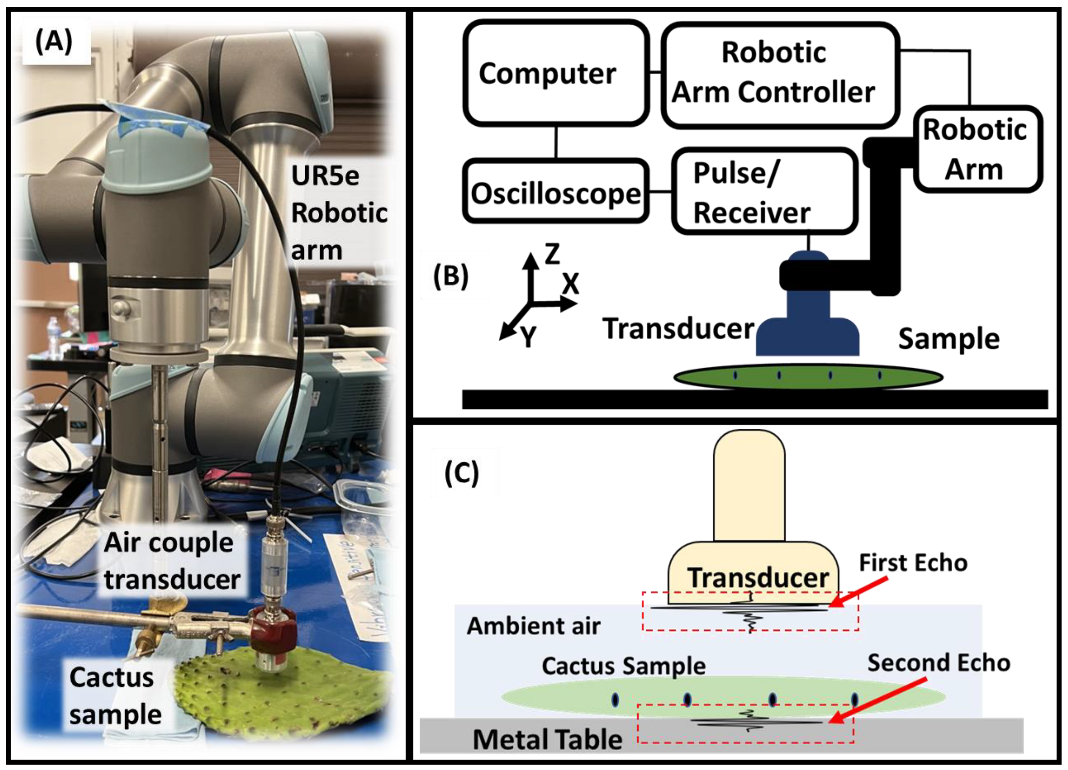 Biophysica 02 00029 g001
