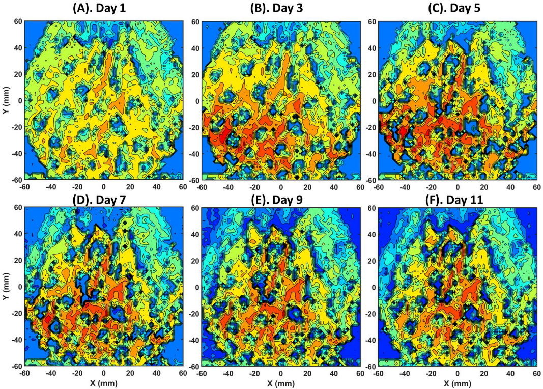 Biophysica 02 00029 g003