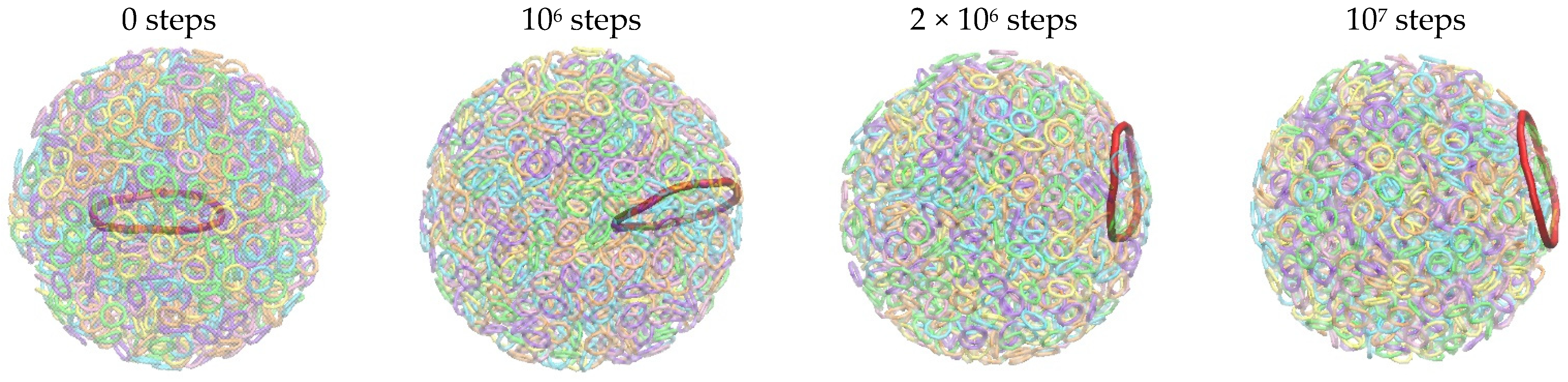 Biophysica 02 00044 g002