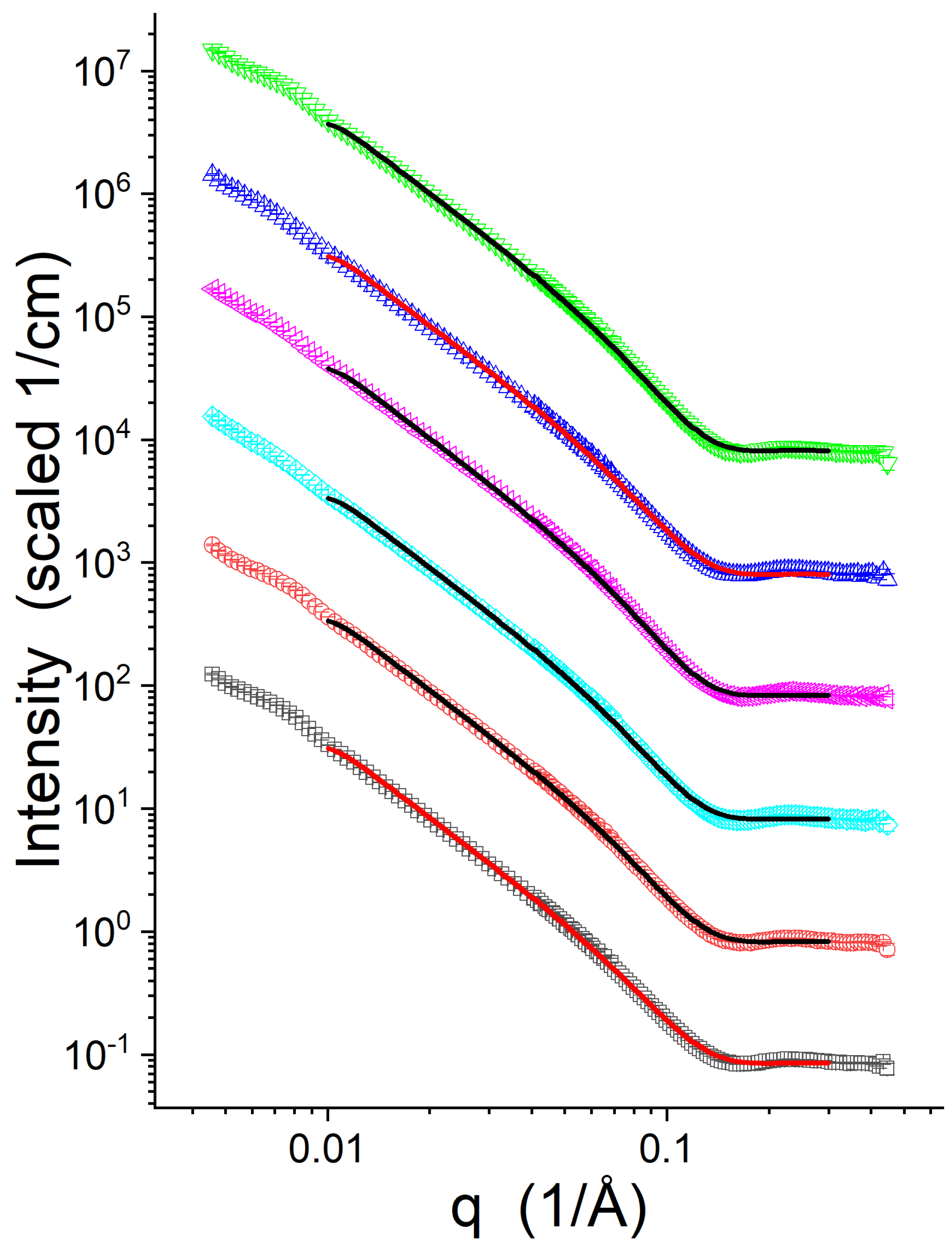 Biophysica 03 00009 g002