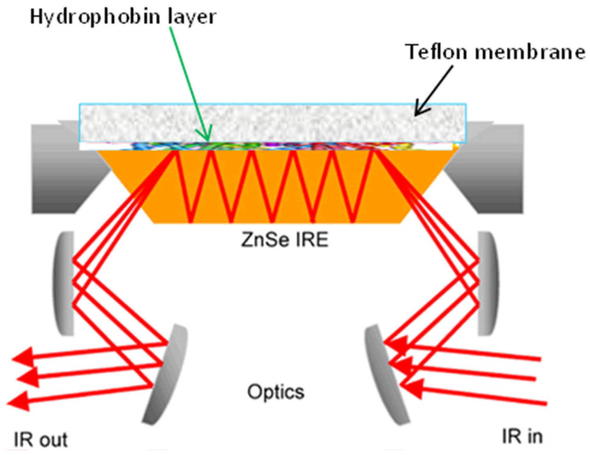 Biophysica 03 00011 g002