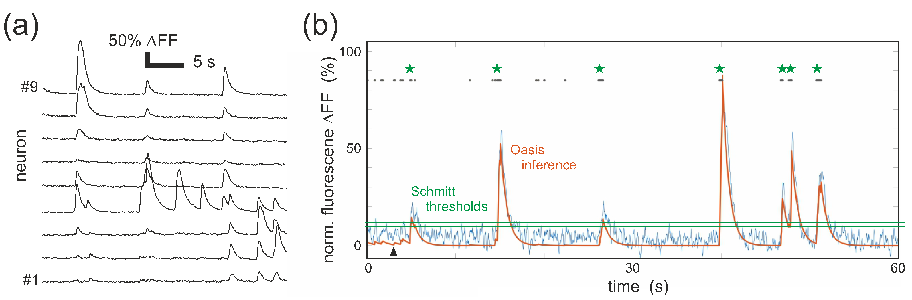 Biophysica 03 00012 g003