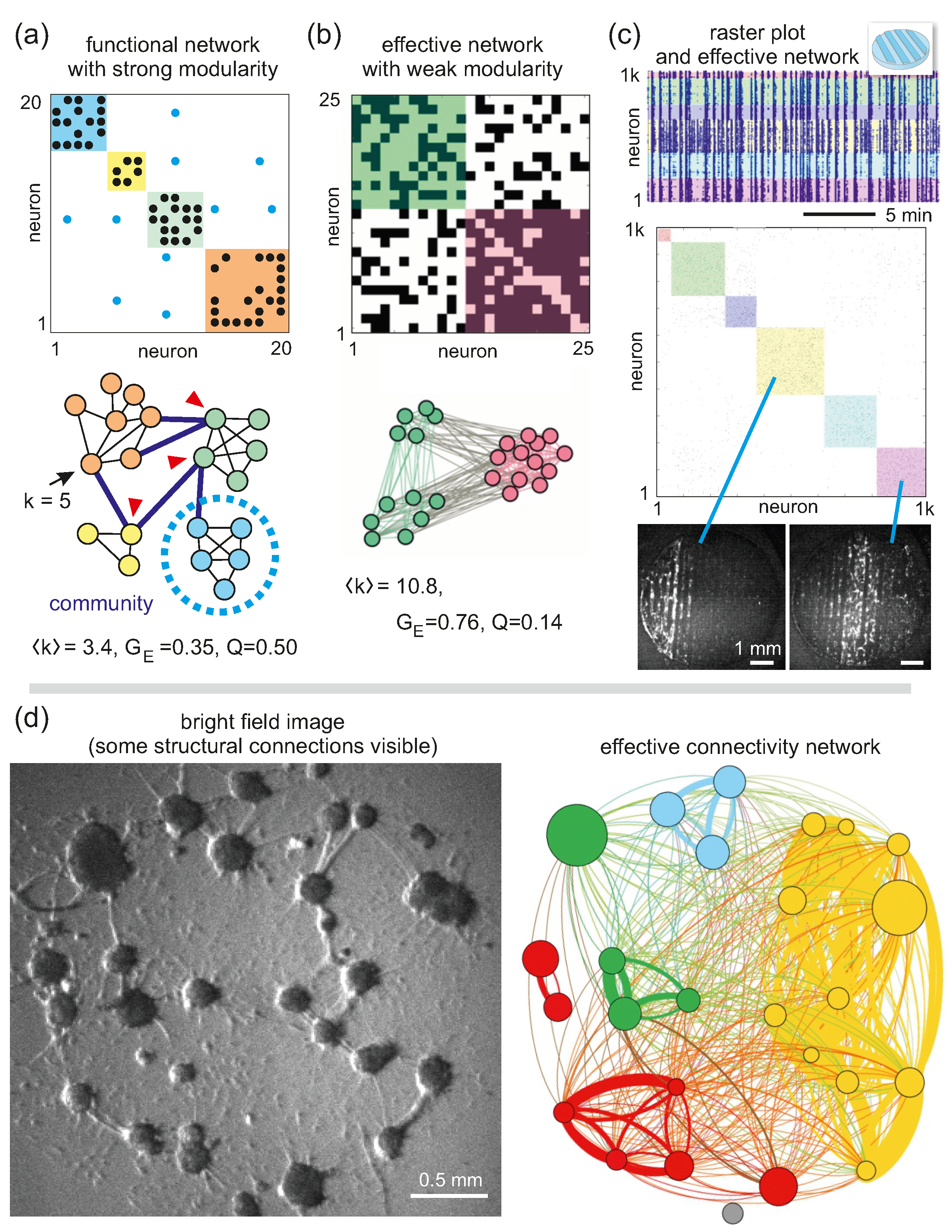 Biophysica 03 00012 g006