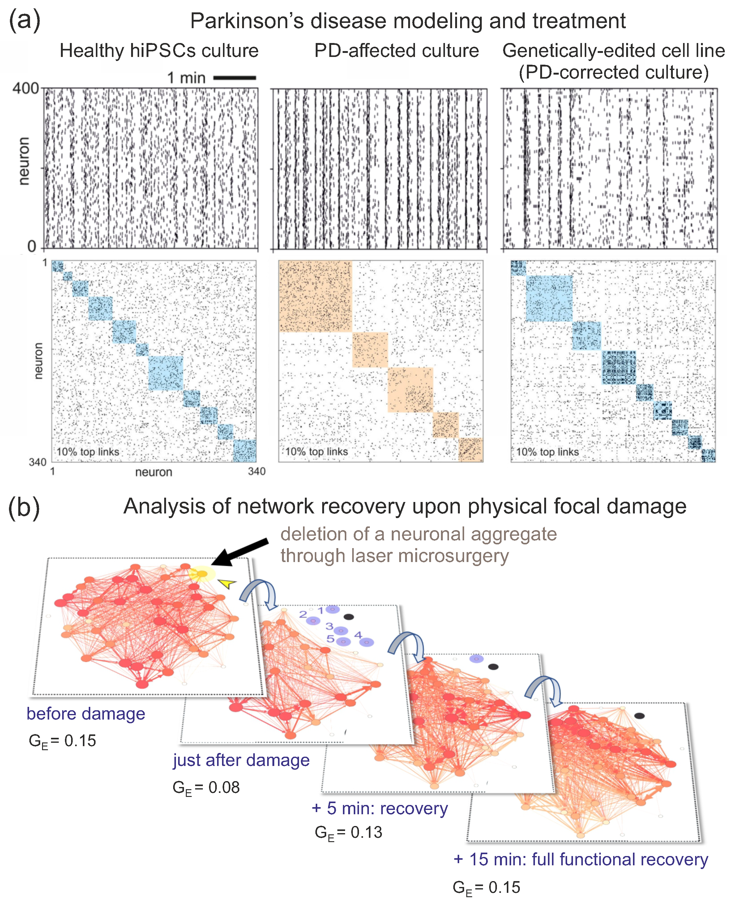 Biophysica 03 00012 g007