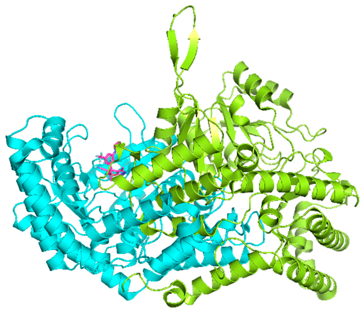 Biophysica 03 00044 g011